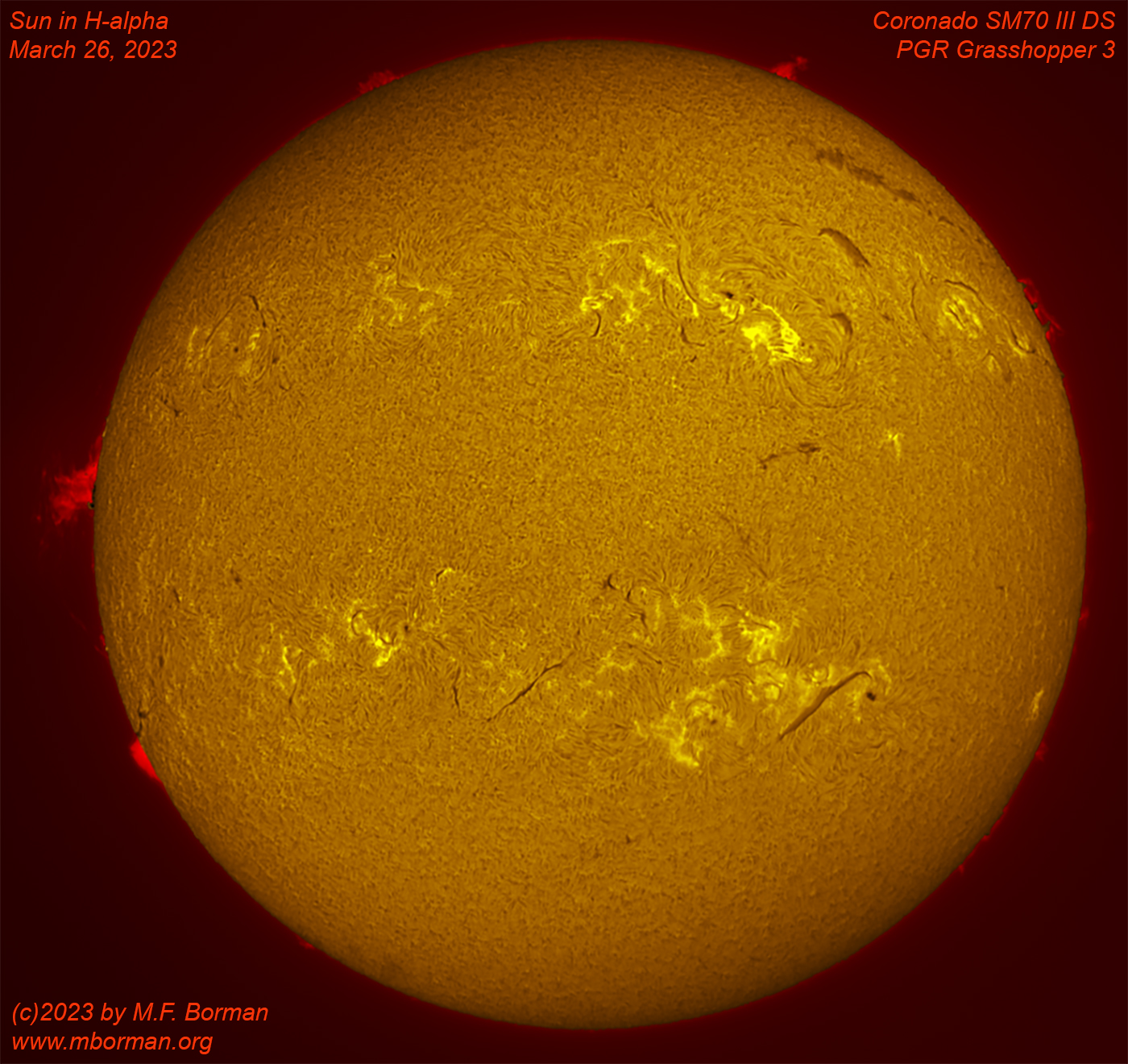 Solar disk in h-alpha 03/26/2023