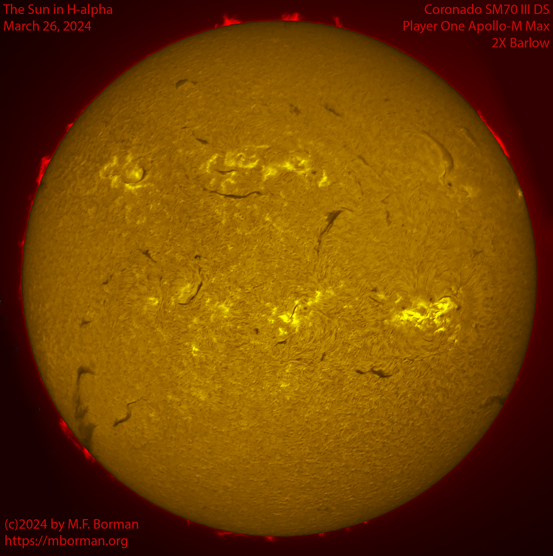Solar image in h-alpha 03/26/24