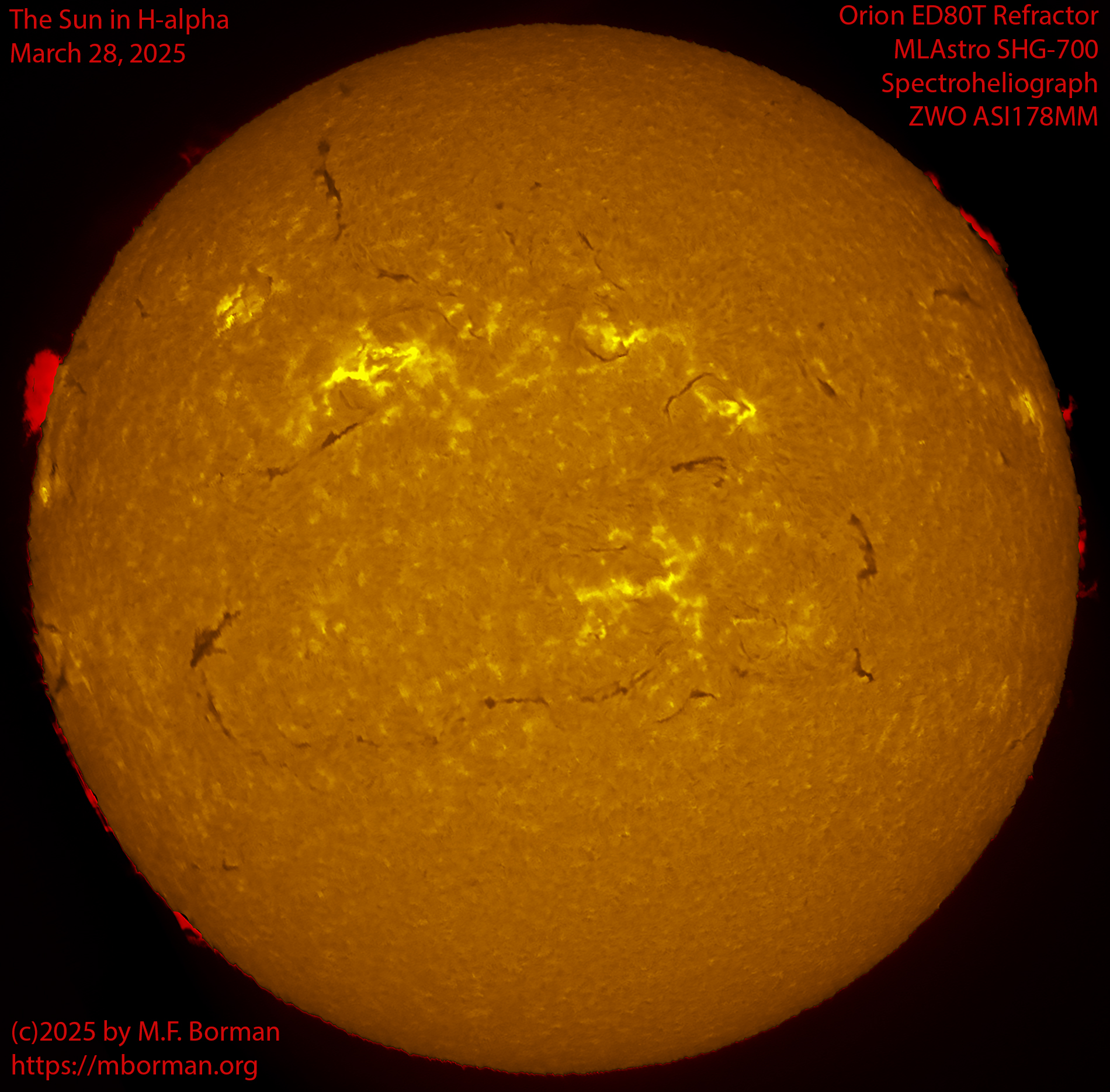 Solar image in h-alpha 03/28/25