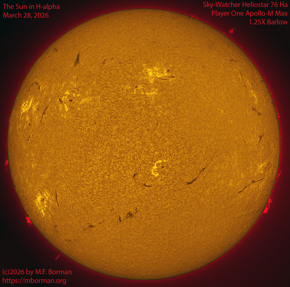 Solar image in h-alpha 03/28/26