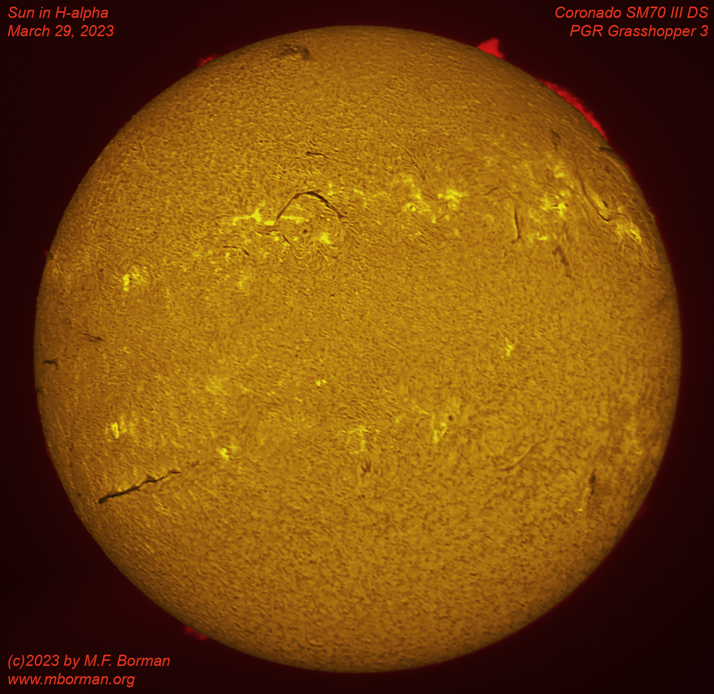 Solar disk in h-alpha 03/29/2023