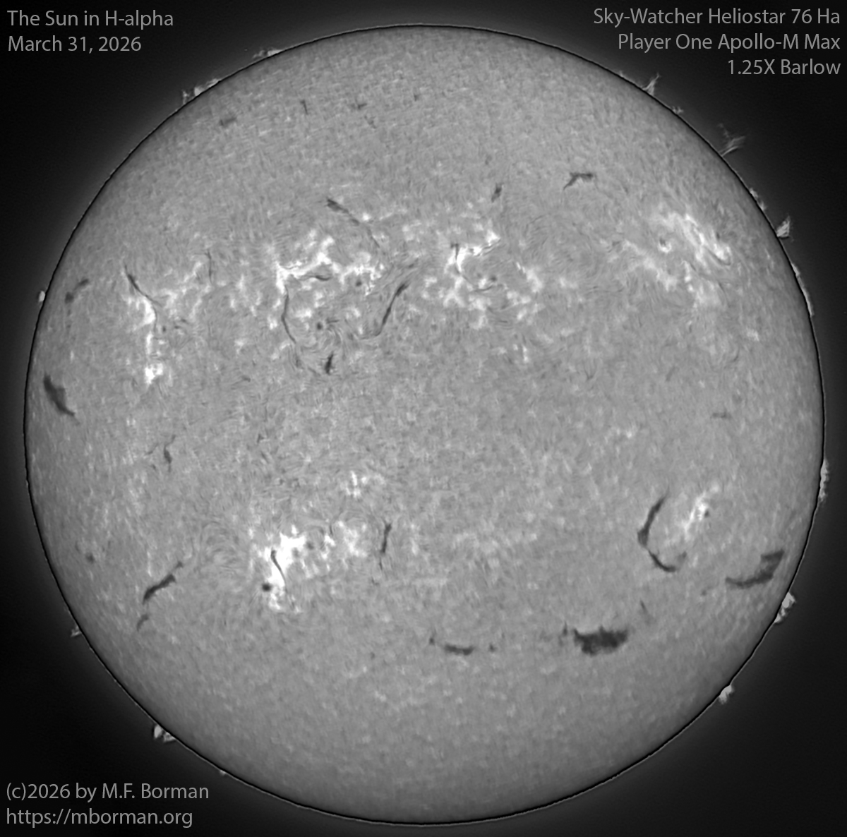 Solar image in h-alpha 03/31/26