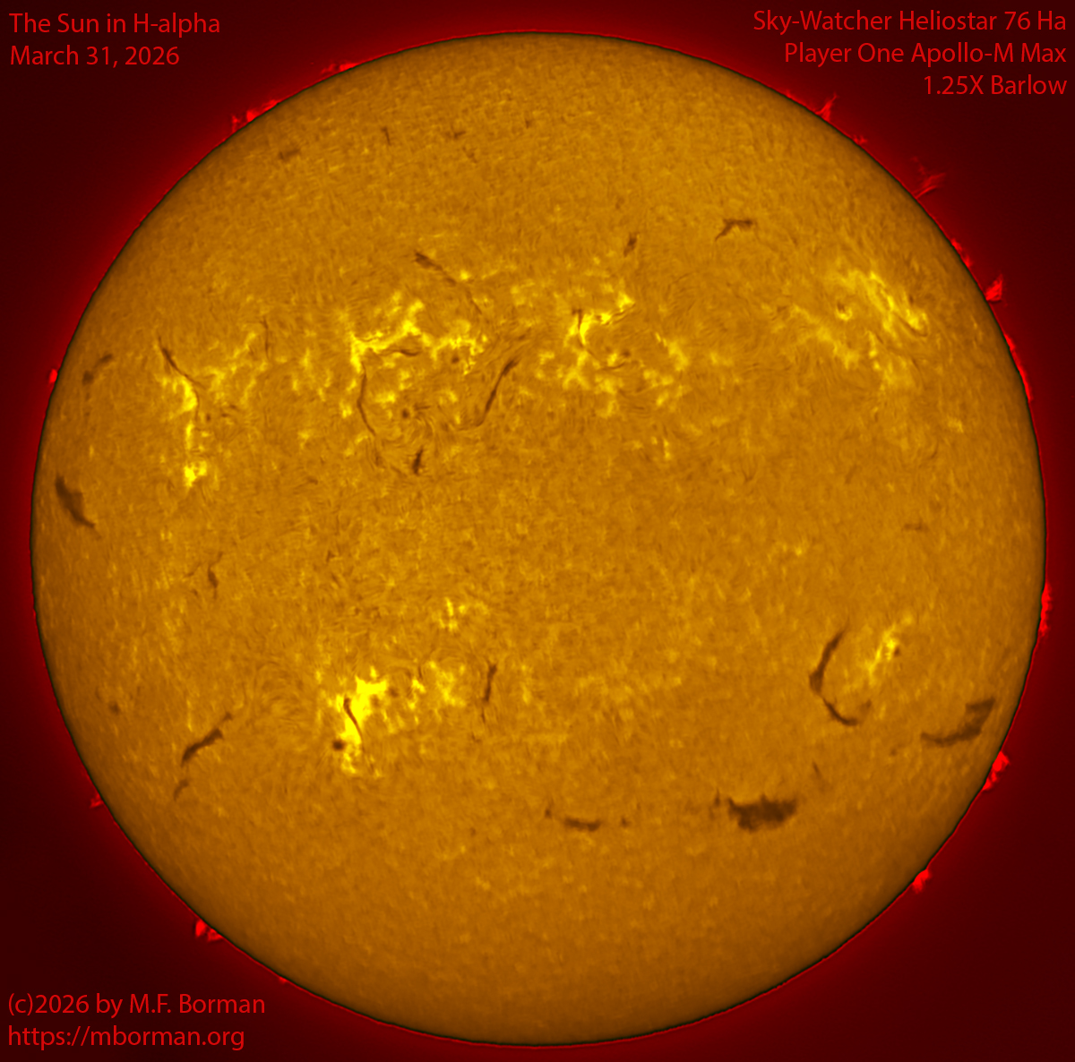 Solar image in h-alpha 03/31/26