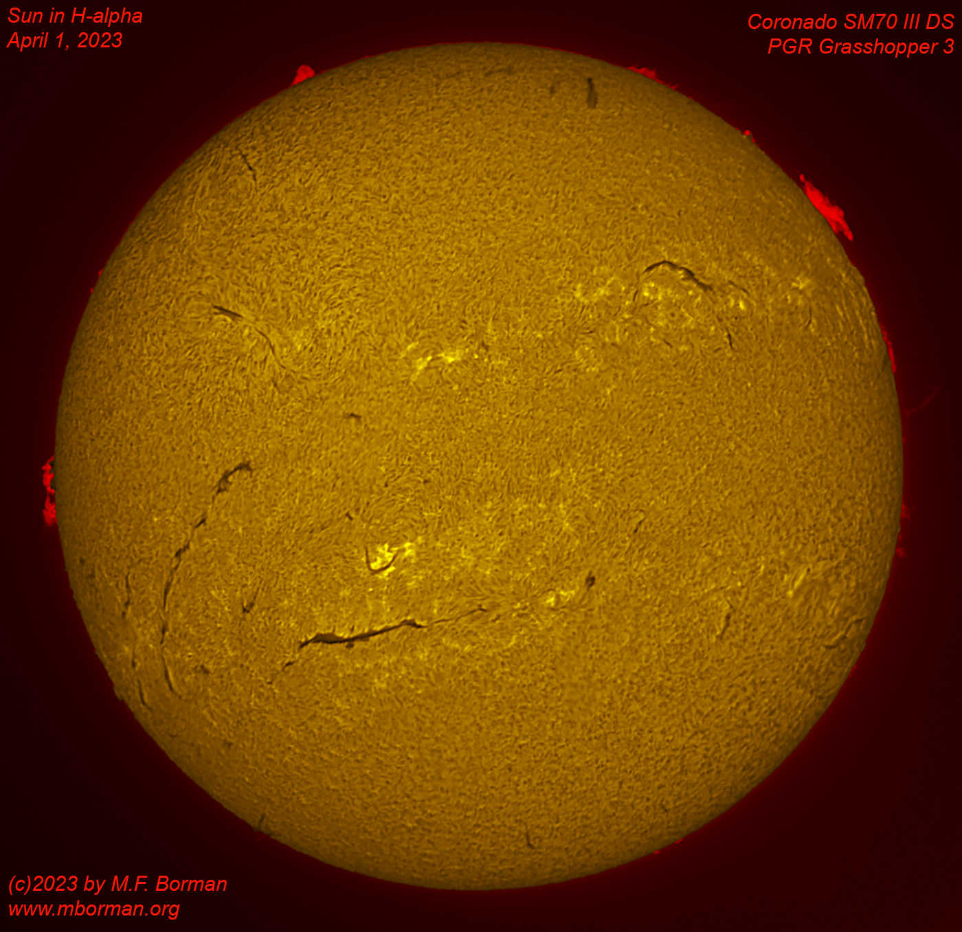 Solar disk in h-alpha 04/01/2023