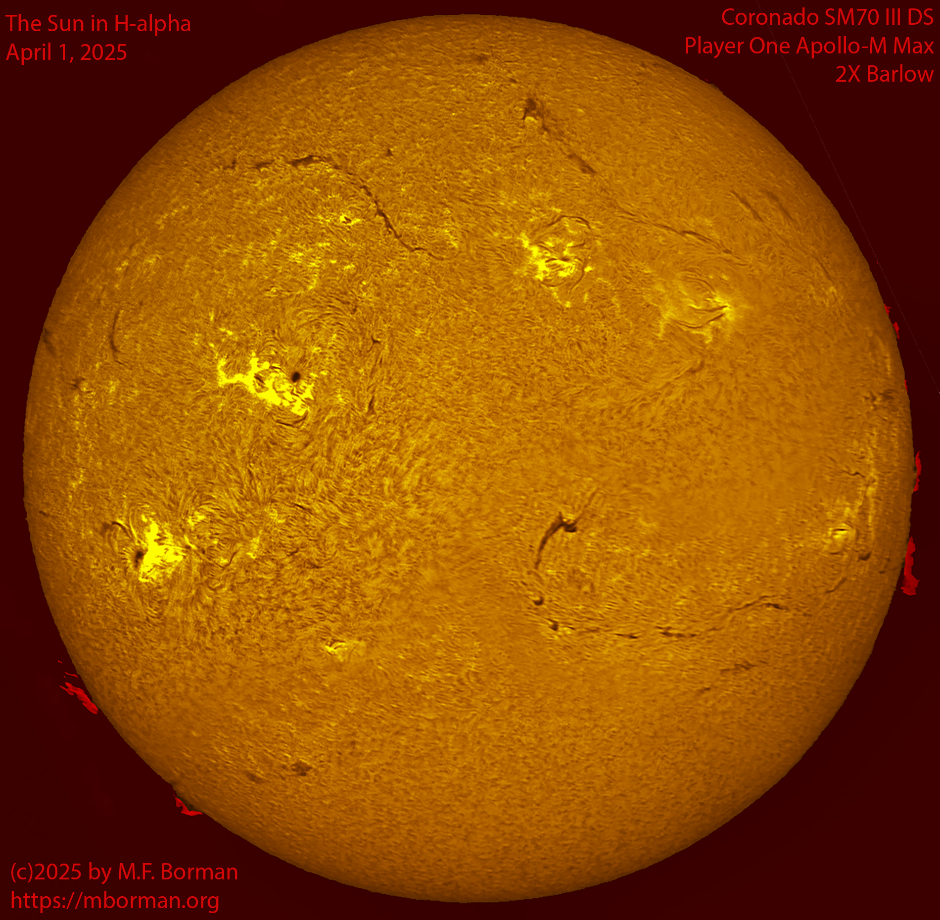 Solar image in h-alpha 04/01/25