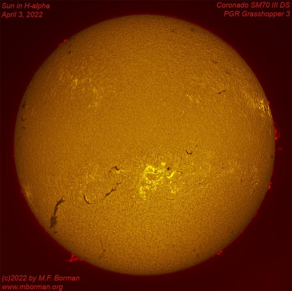 Solar disk in h-alpha 04/03/2022