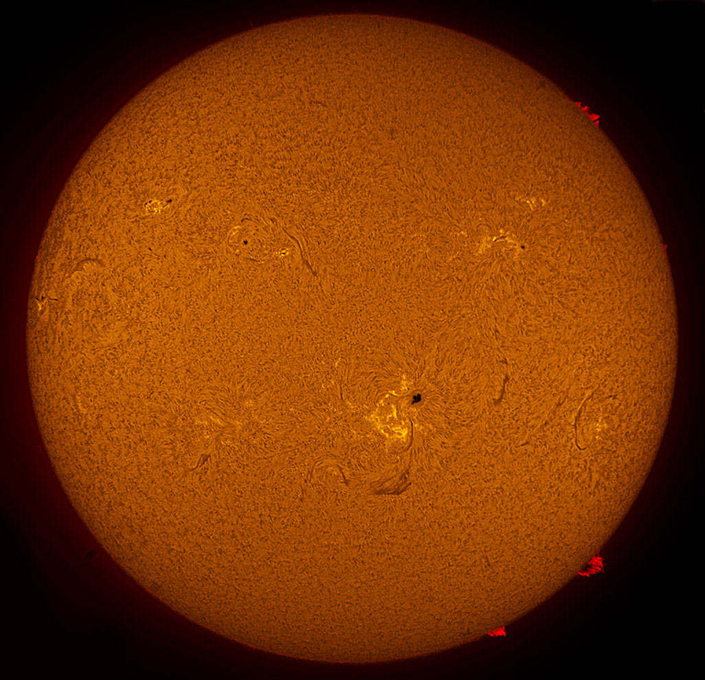 Solar Disk in h-alpha 04/06/2013