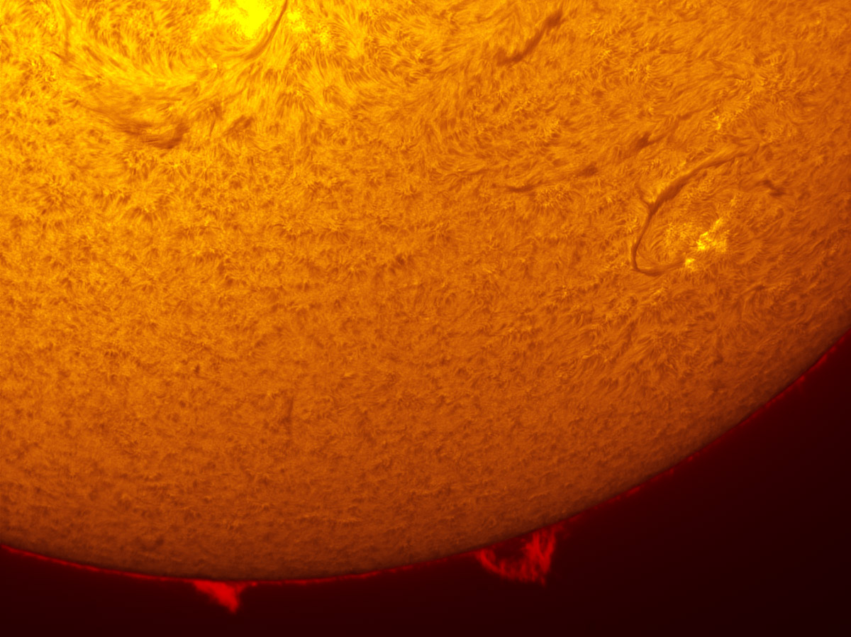 Solar Prominences in h-alpha 04/06/2013