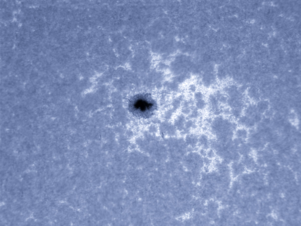 Sunspot 1711 in CaK 04/06/2013