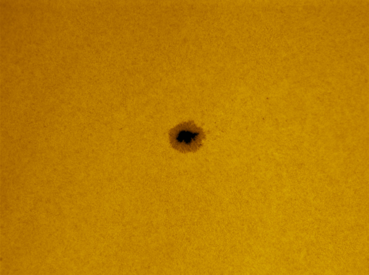 Sunspot 1711 in white light 04/06/2013