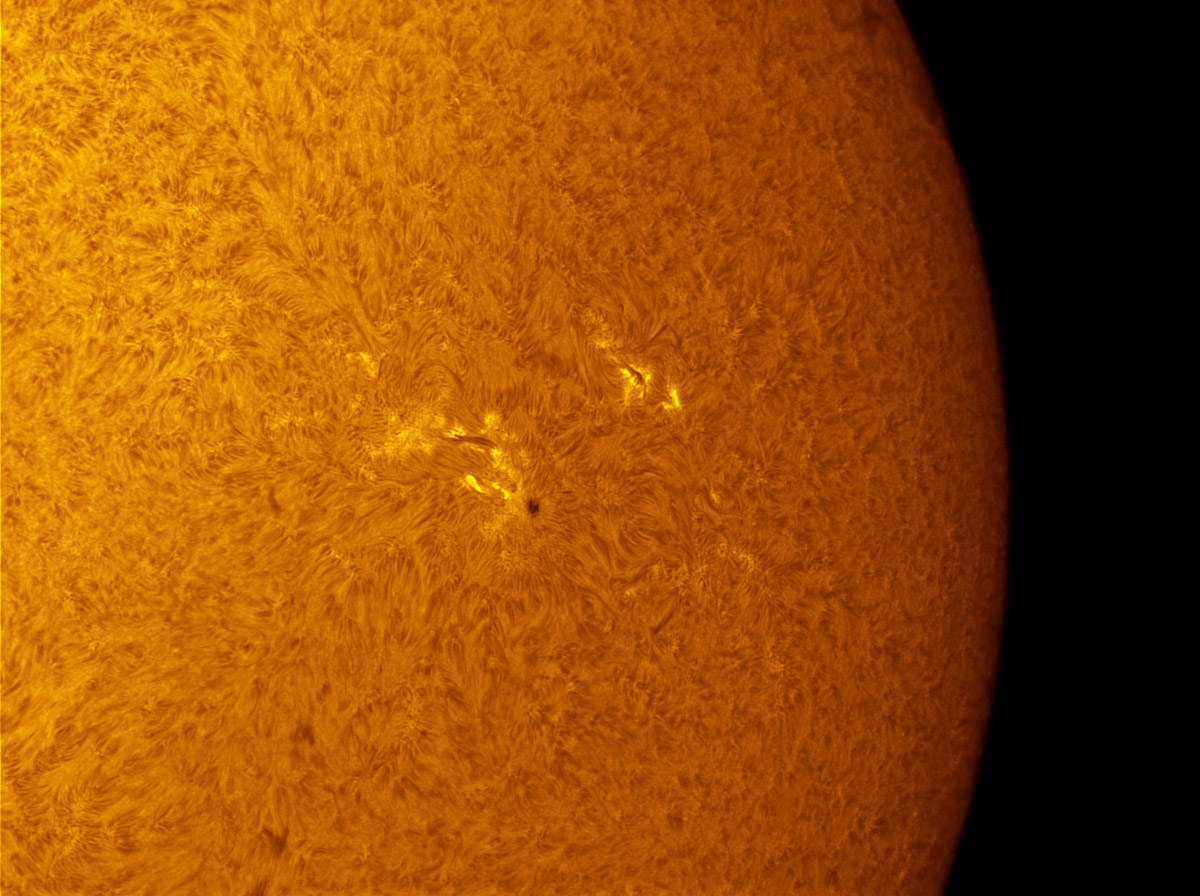 Sunspot 1713 in h-alpha 04/06/2013