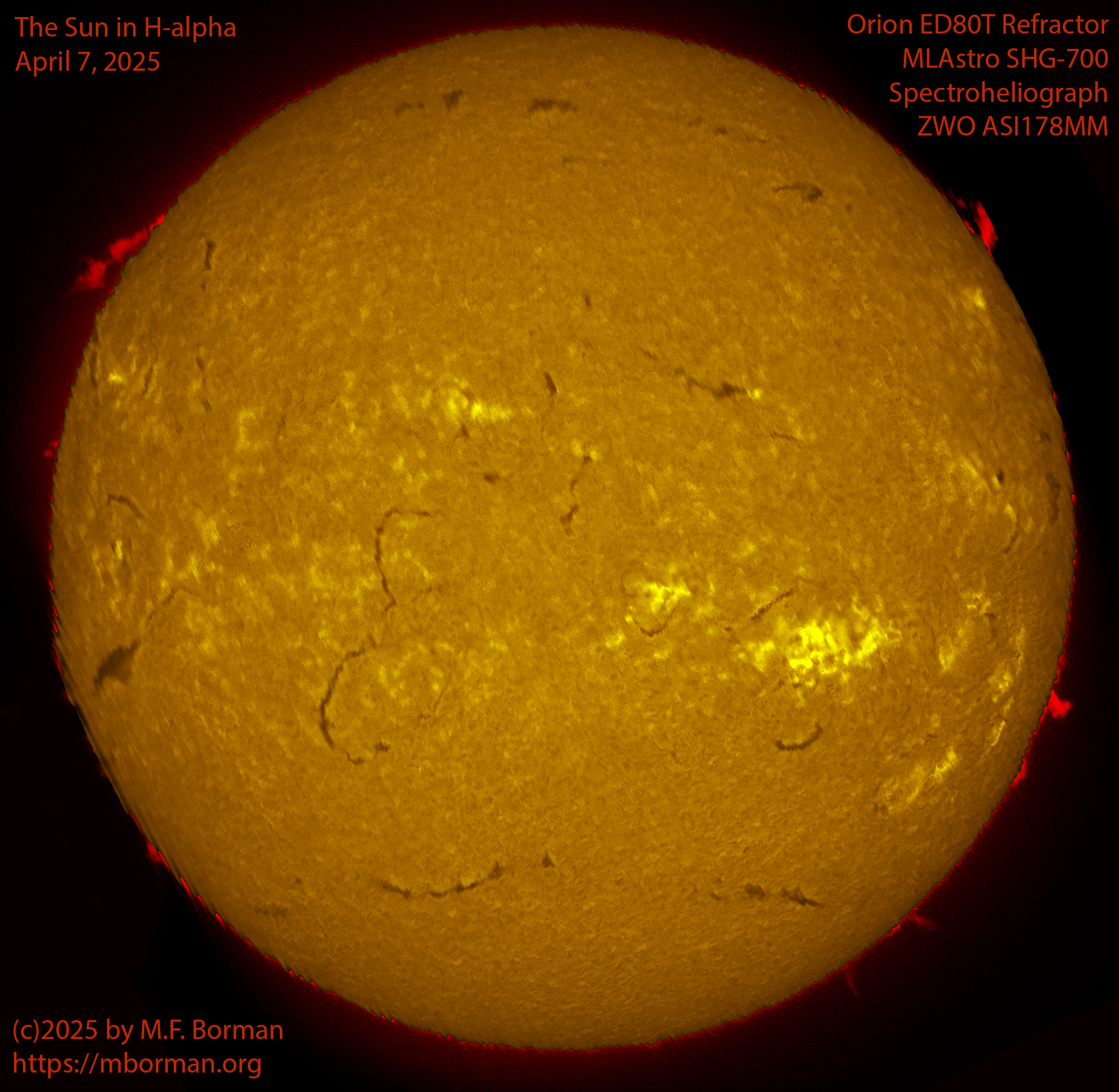 Solar image in h-alpha 04/07/25