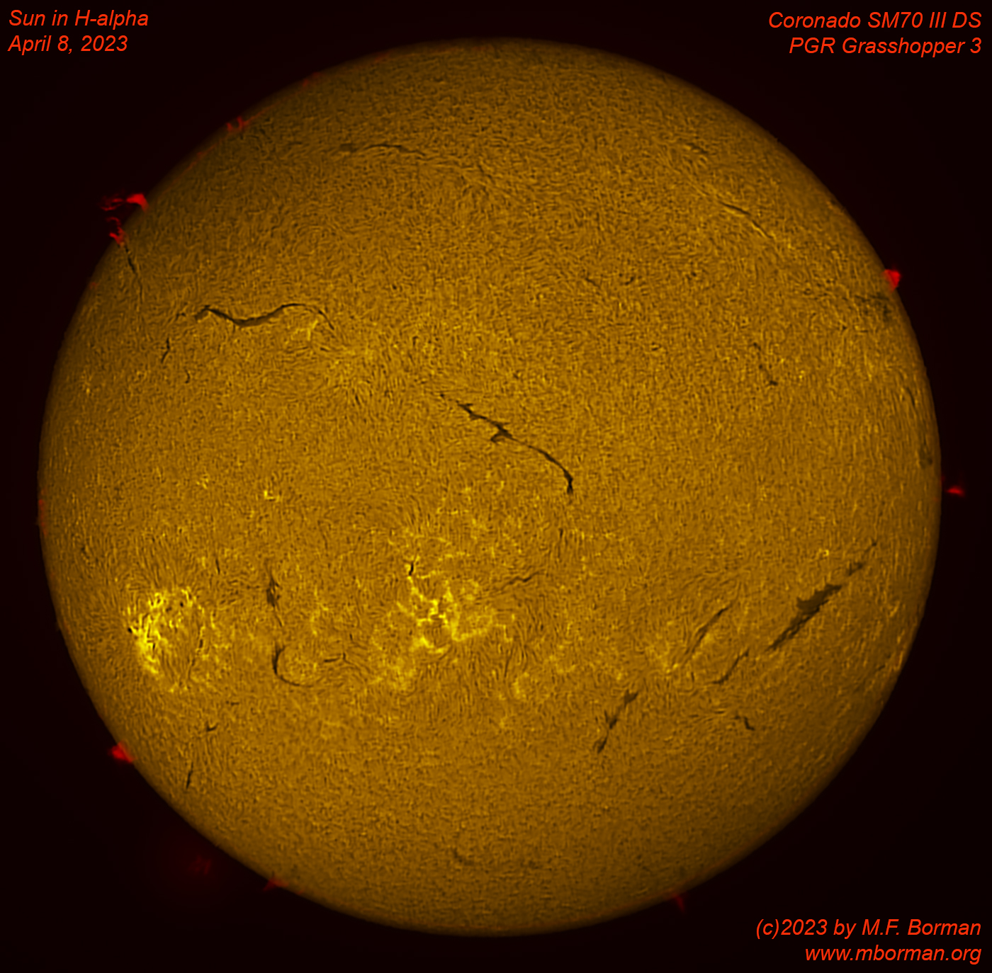 Solar disk in h-alpha 04/08/2023