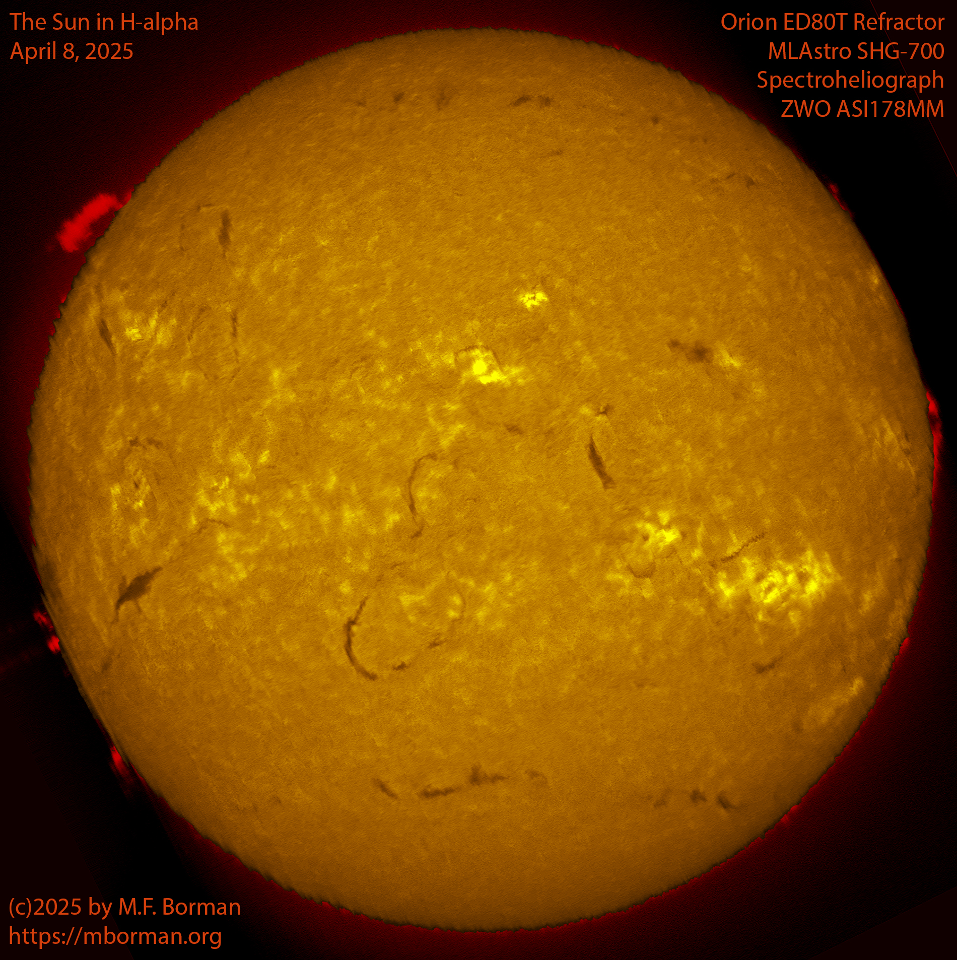 Solar image in h-alpha 04/08/25