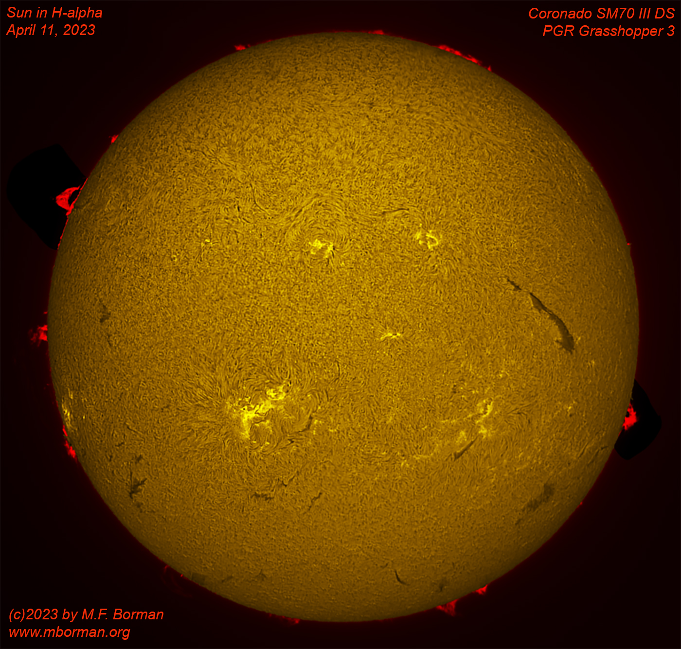 Solar disk in h-alpha 04/11/2023