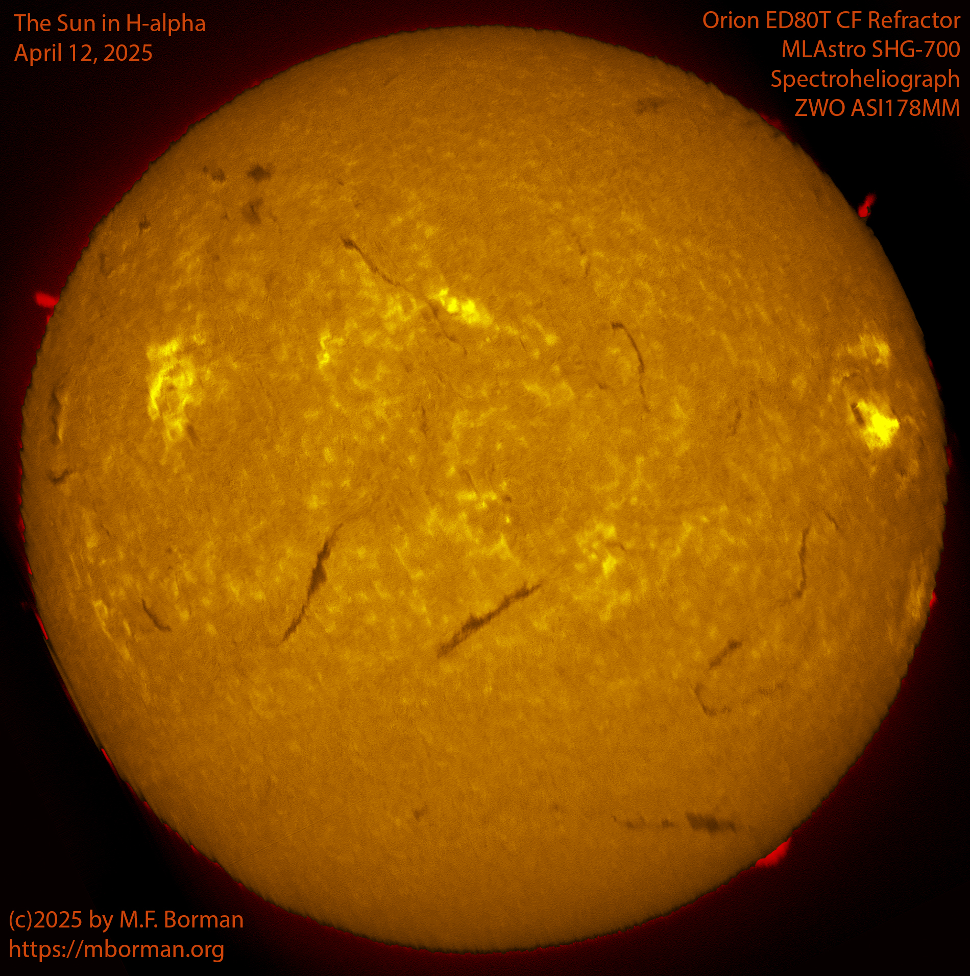 Solar image in h-alpha 04/12/25