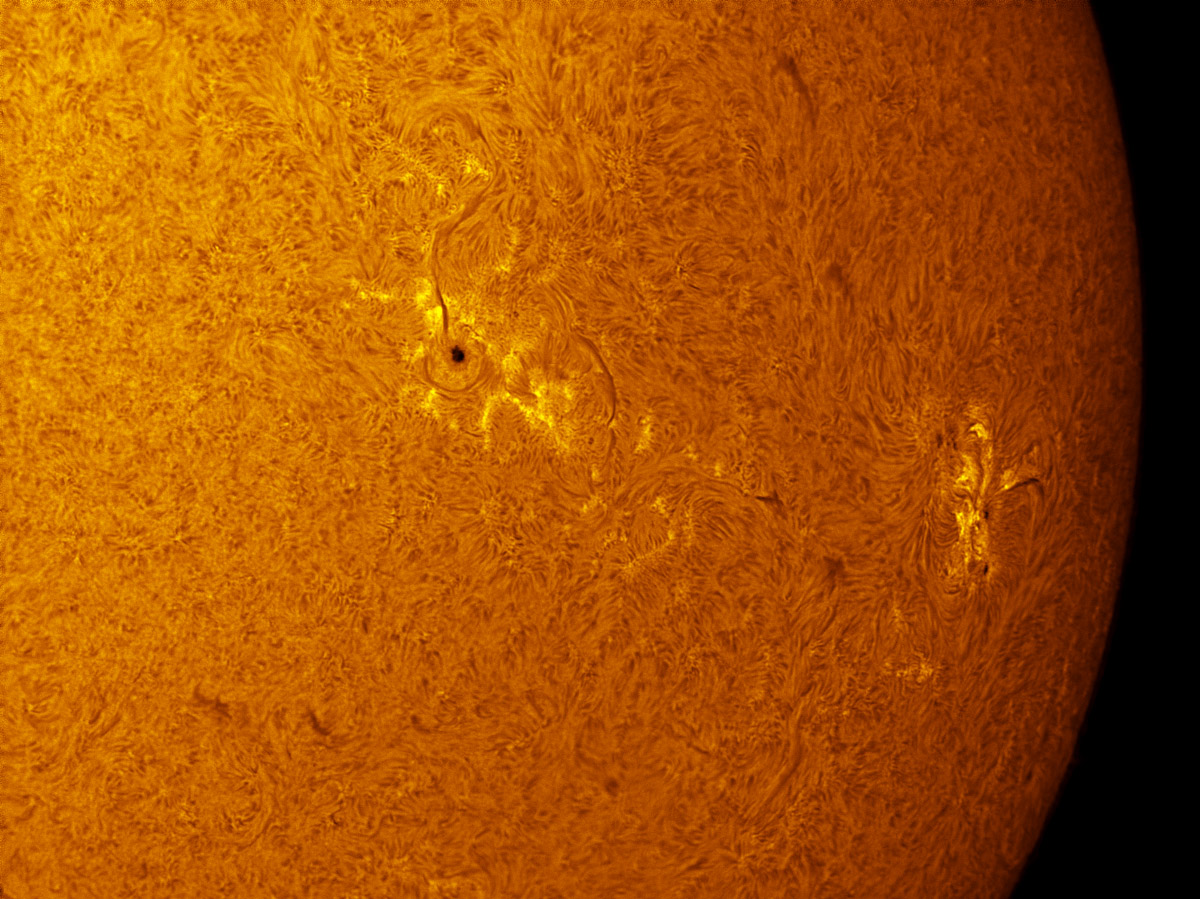 Sunspots 1718 and 1719 in h-alpha 04/13/2013
