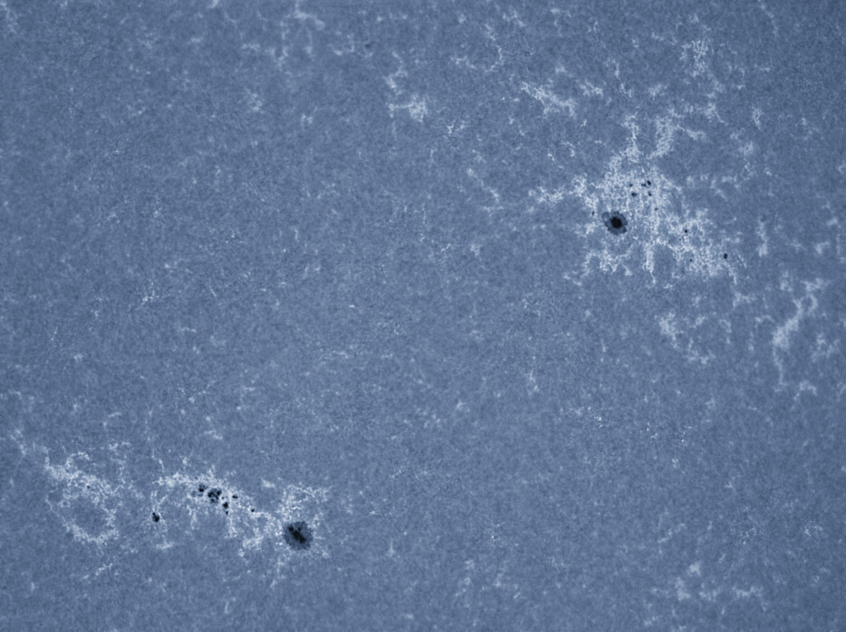 Sunspots 1719, 1721, and 1722 in CaK 04/13/2013