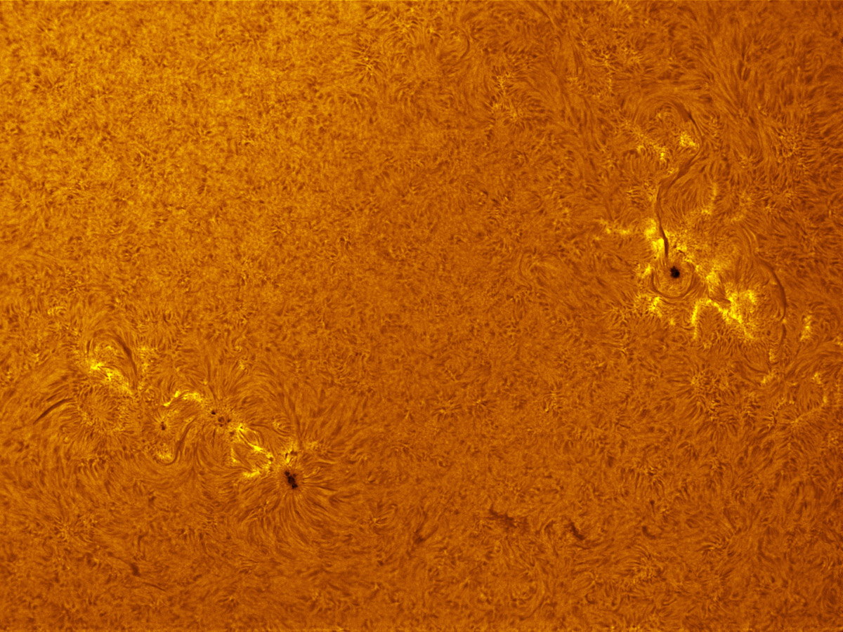 Sunspots 1719, 1721, and 1722 in h-alpha 04/13/2013