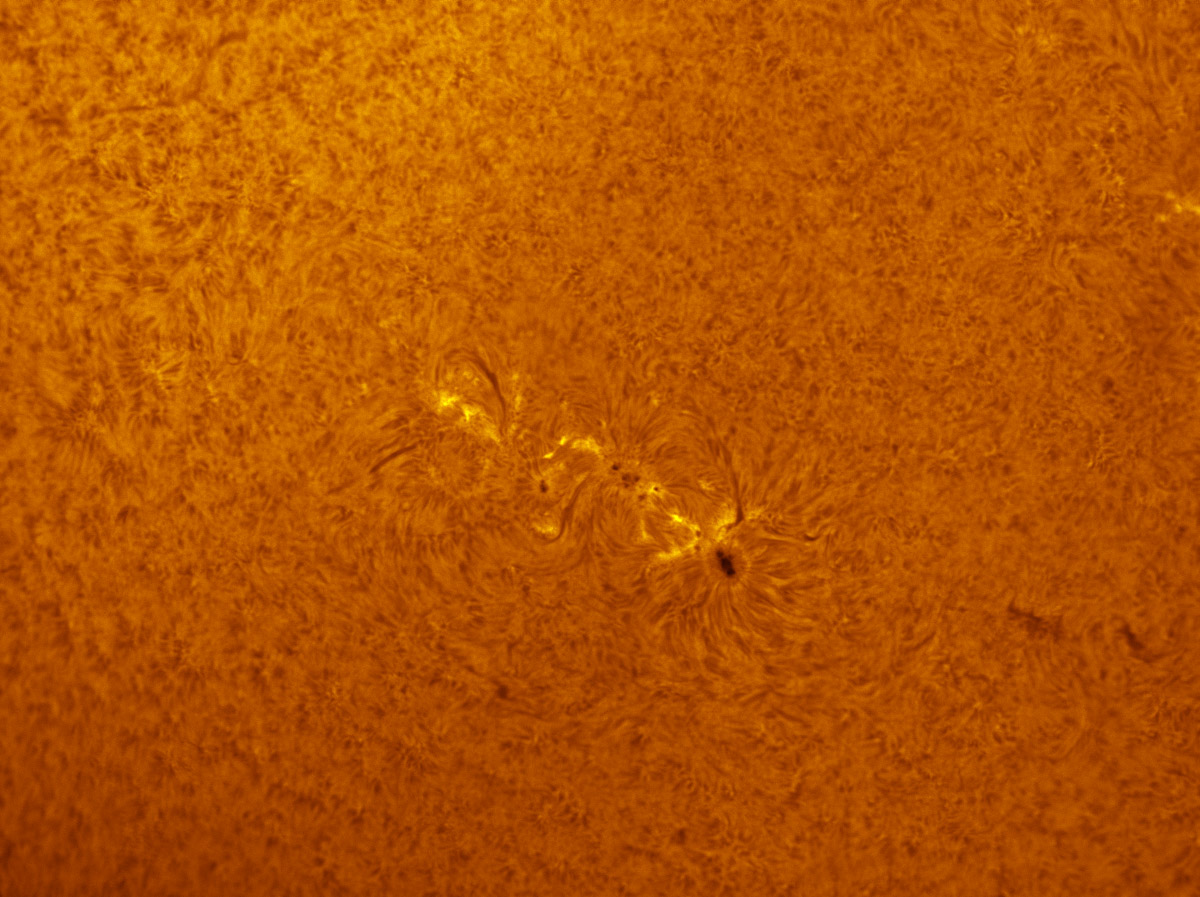 Sunspots 1721 and 1722 in h-alpha 04/13/2013