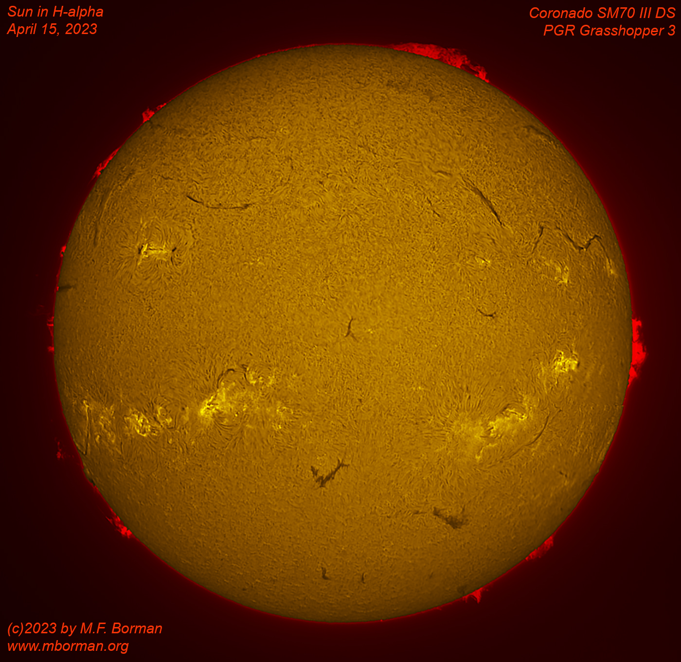 Solar disk in h-alpha 04/15/2023
