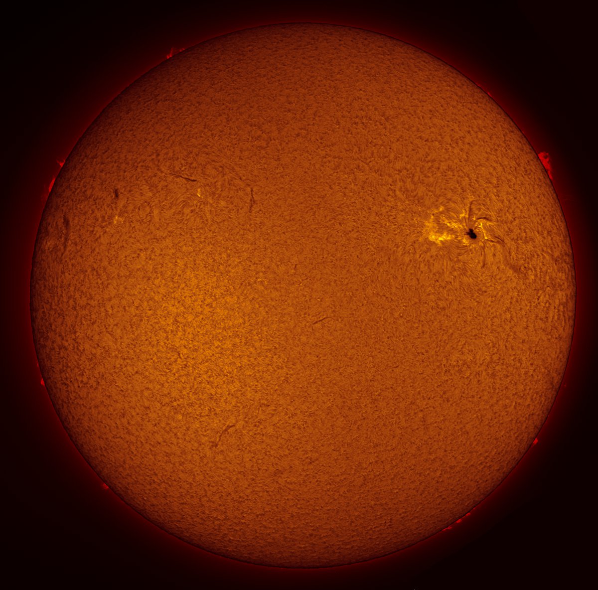 Solar Disk in h-alpha 04/16/2016