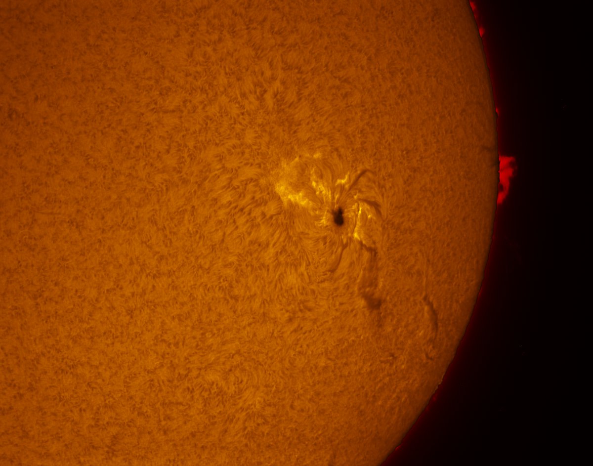 Sunspot 2529 in h-alpha 04/16/2016