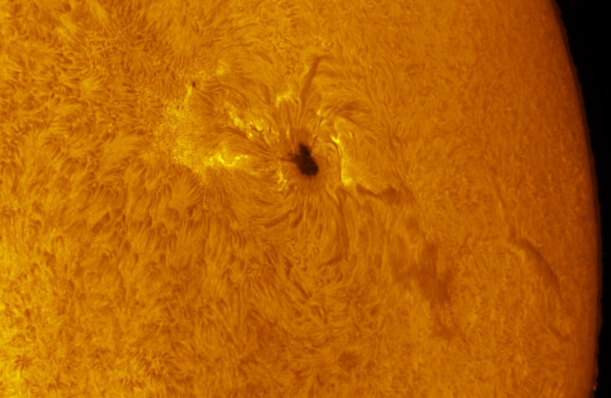 Sunspot 2529 in h-alpha 04/16/2016