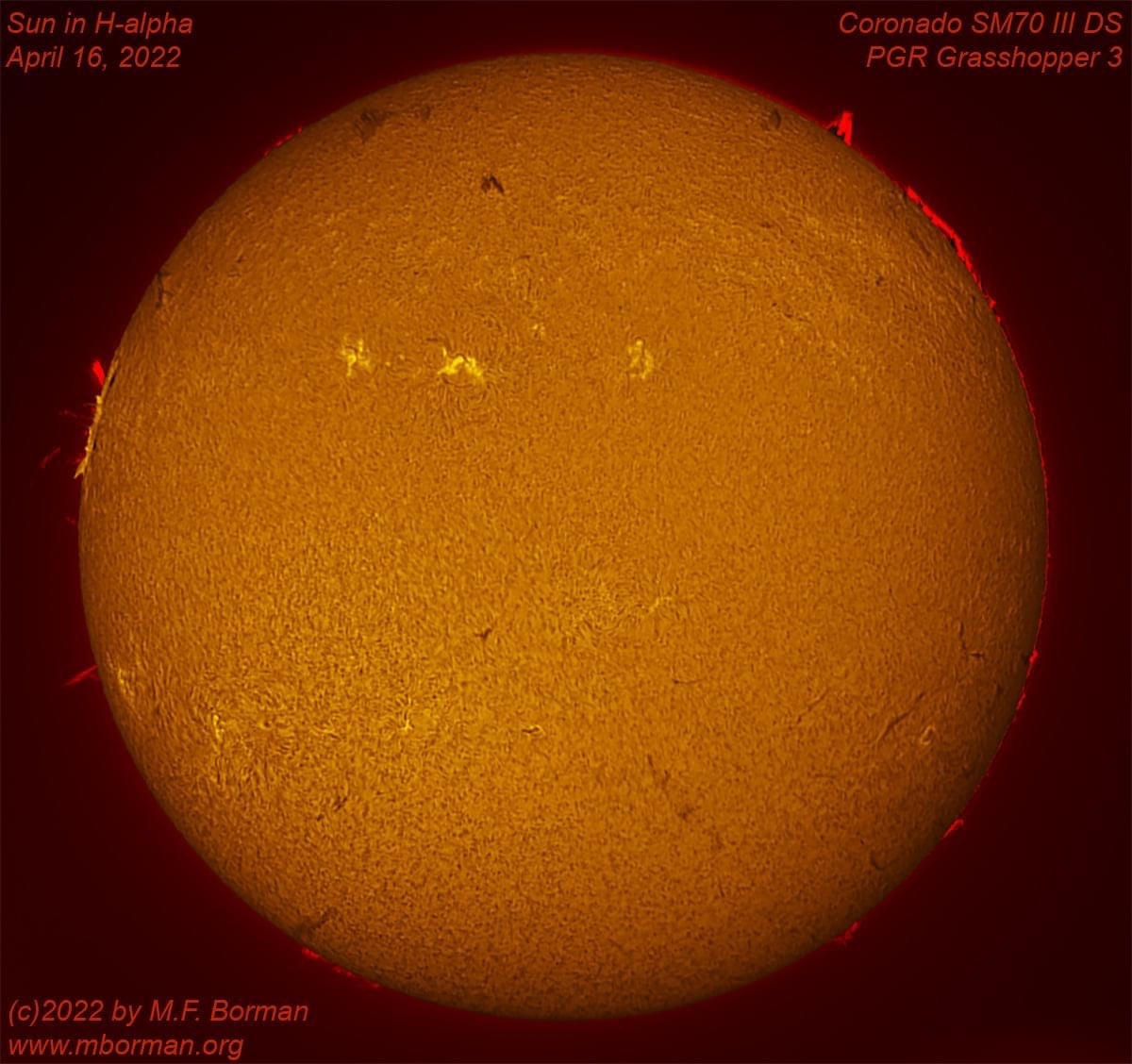Solar disk in h-alpha 04/16/2022