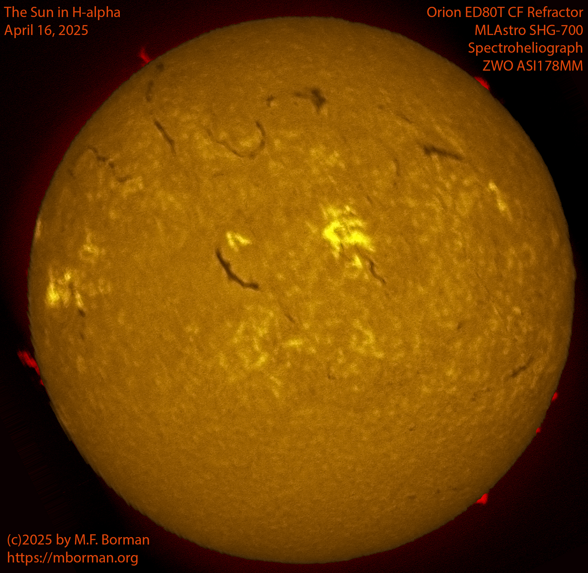 Solar image in h-alpha 04/16/25