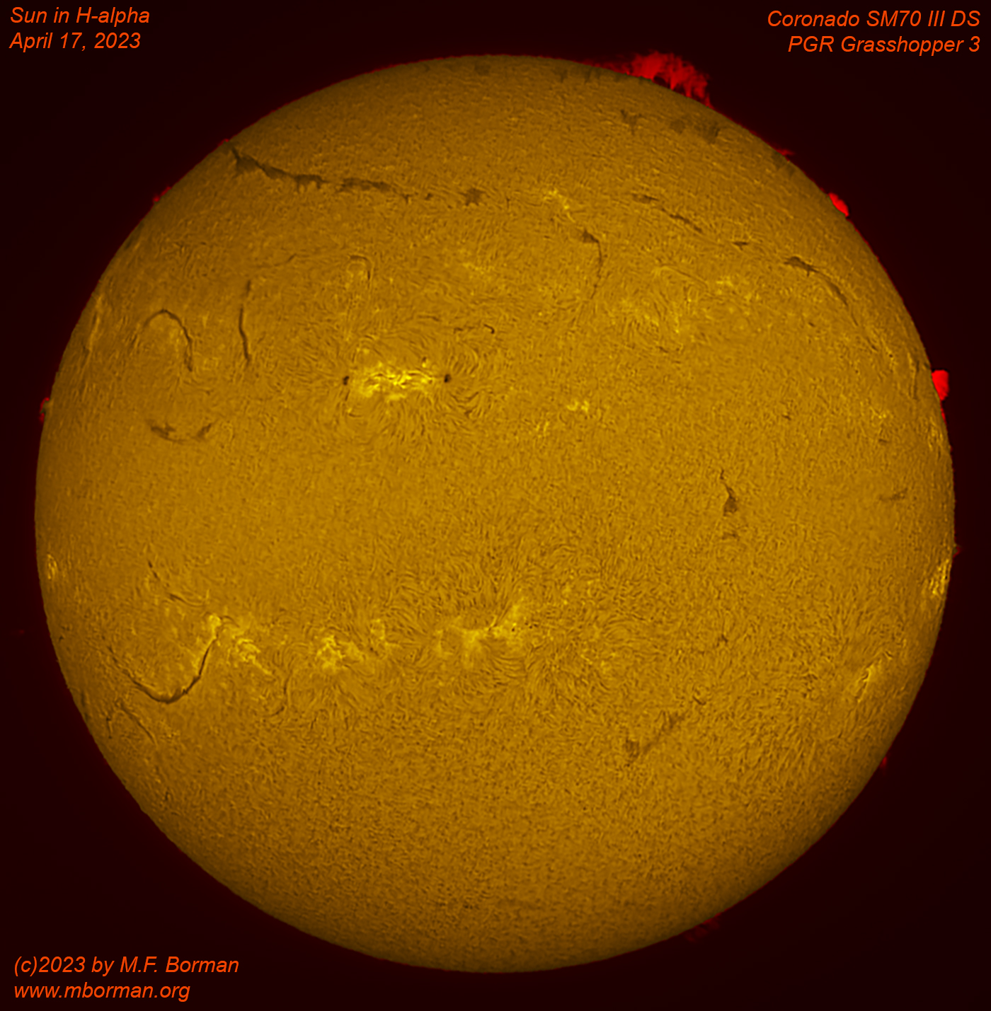Solar disk in h-alpha 04/17/2023
