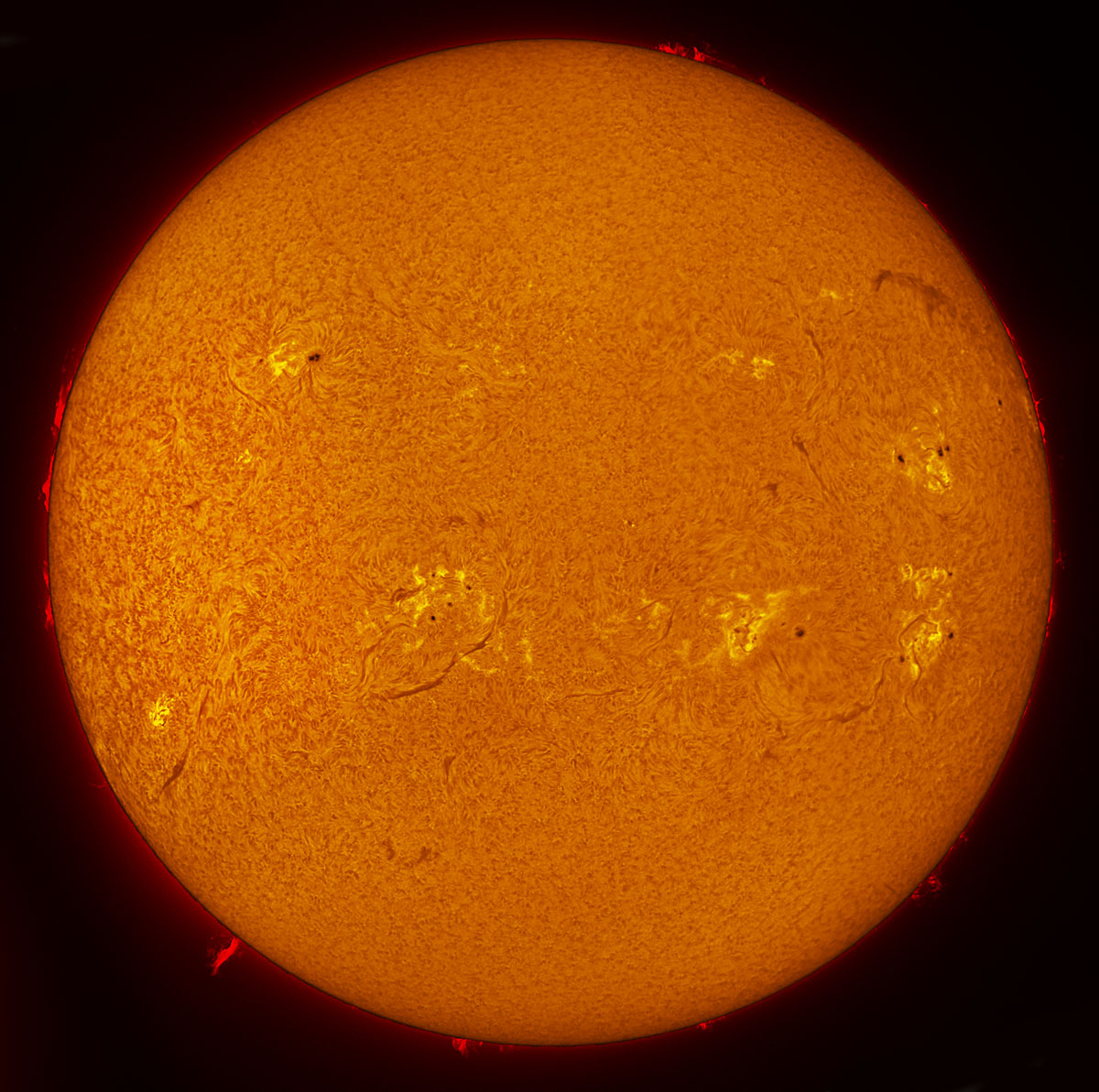 Solar Disk in h-alpha 04/19/2014