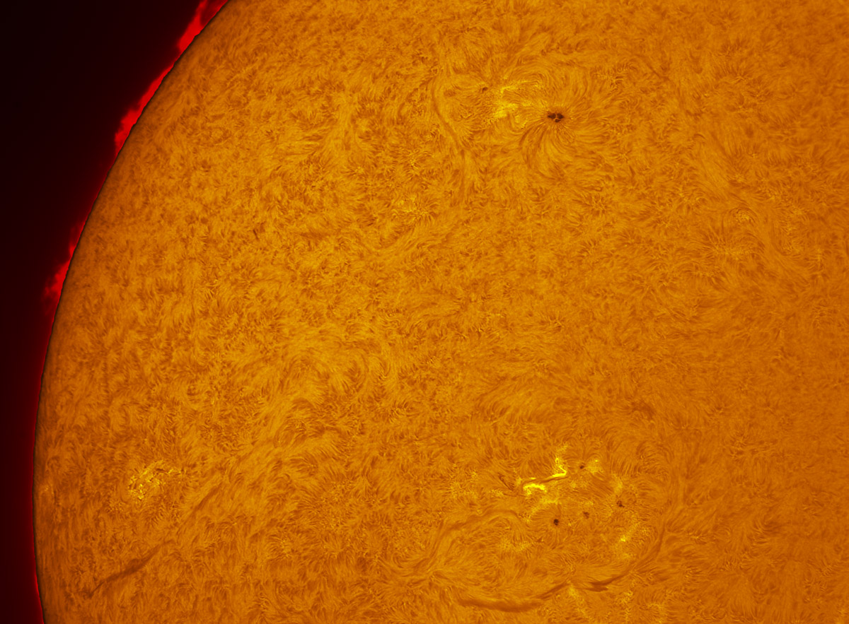 Sunspots 2038 and 2042 in h-alpha 04/19/2014