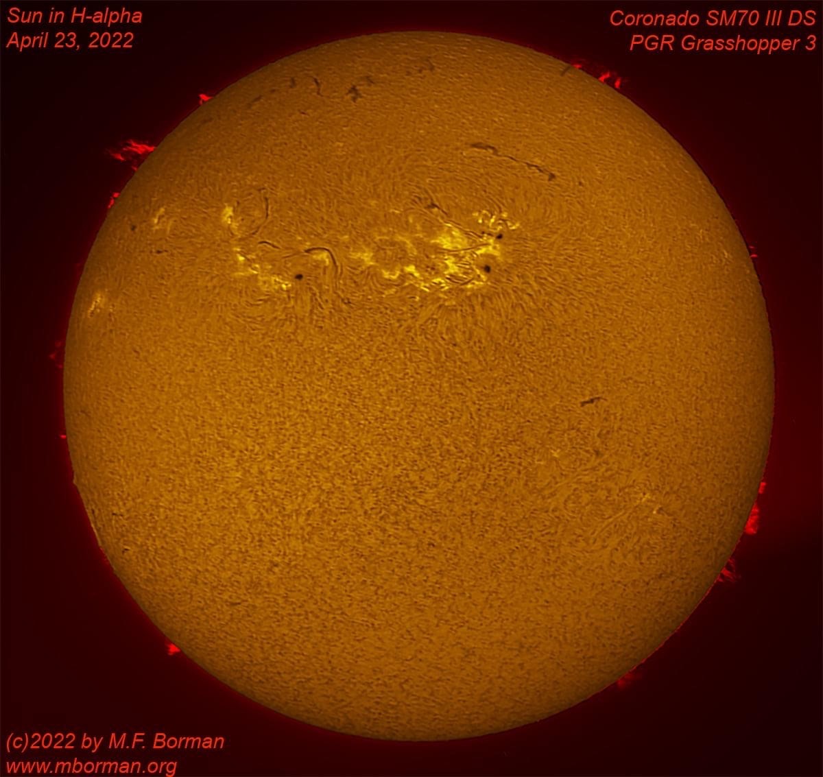 Solar disk in h-alpha 04/23/2022
