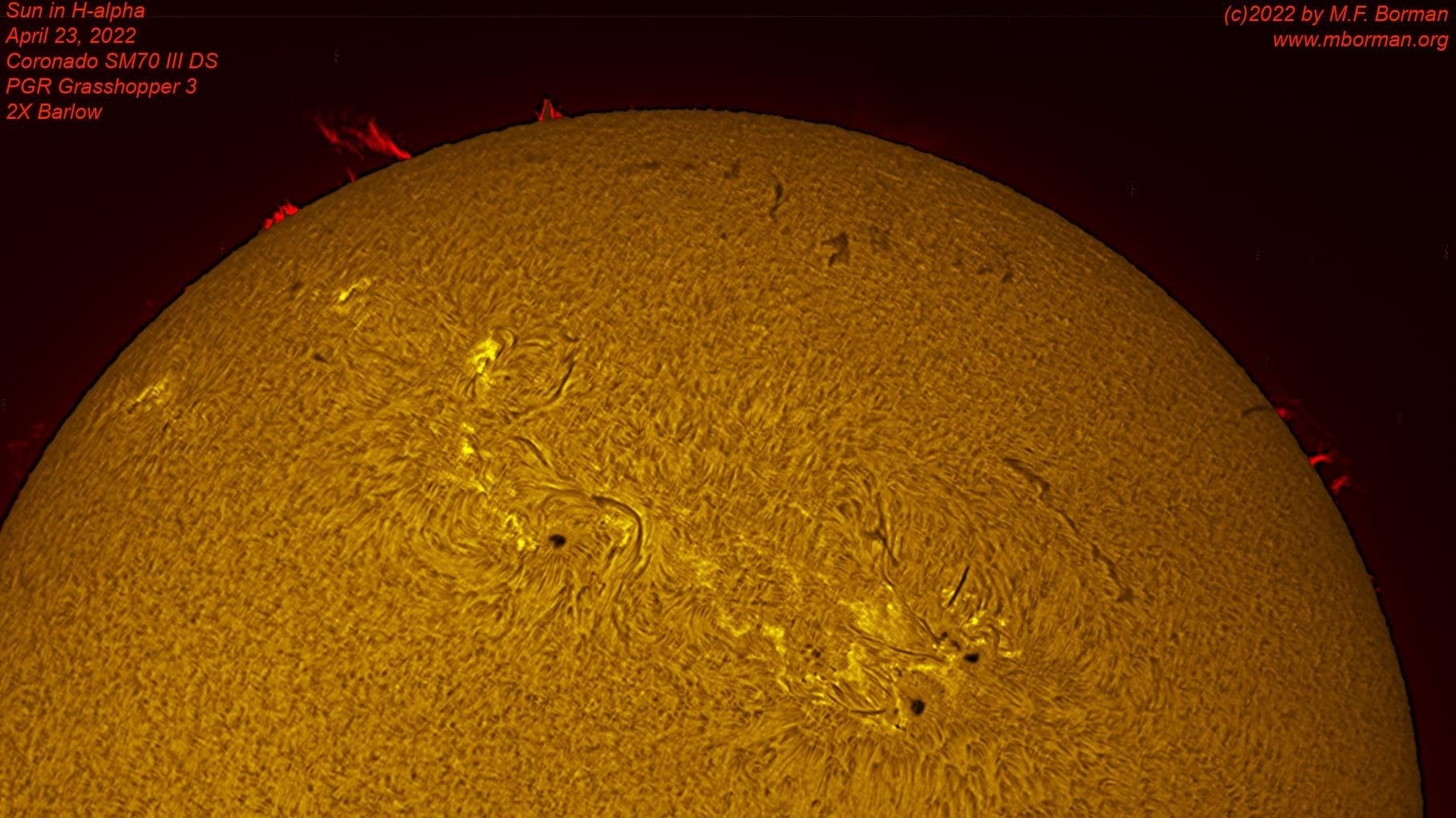 Solar disk closeup in h-alpha 04/23/2022