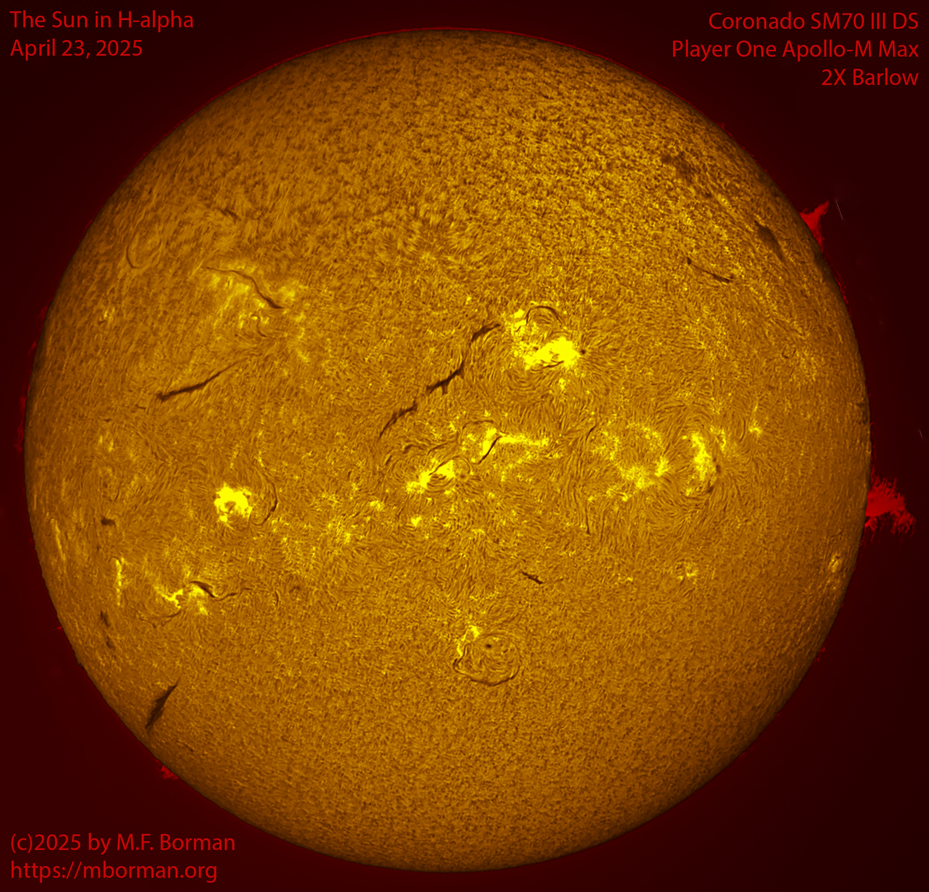 Solar image in h-alpha 04/23/25