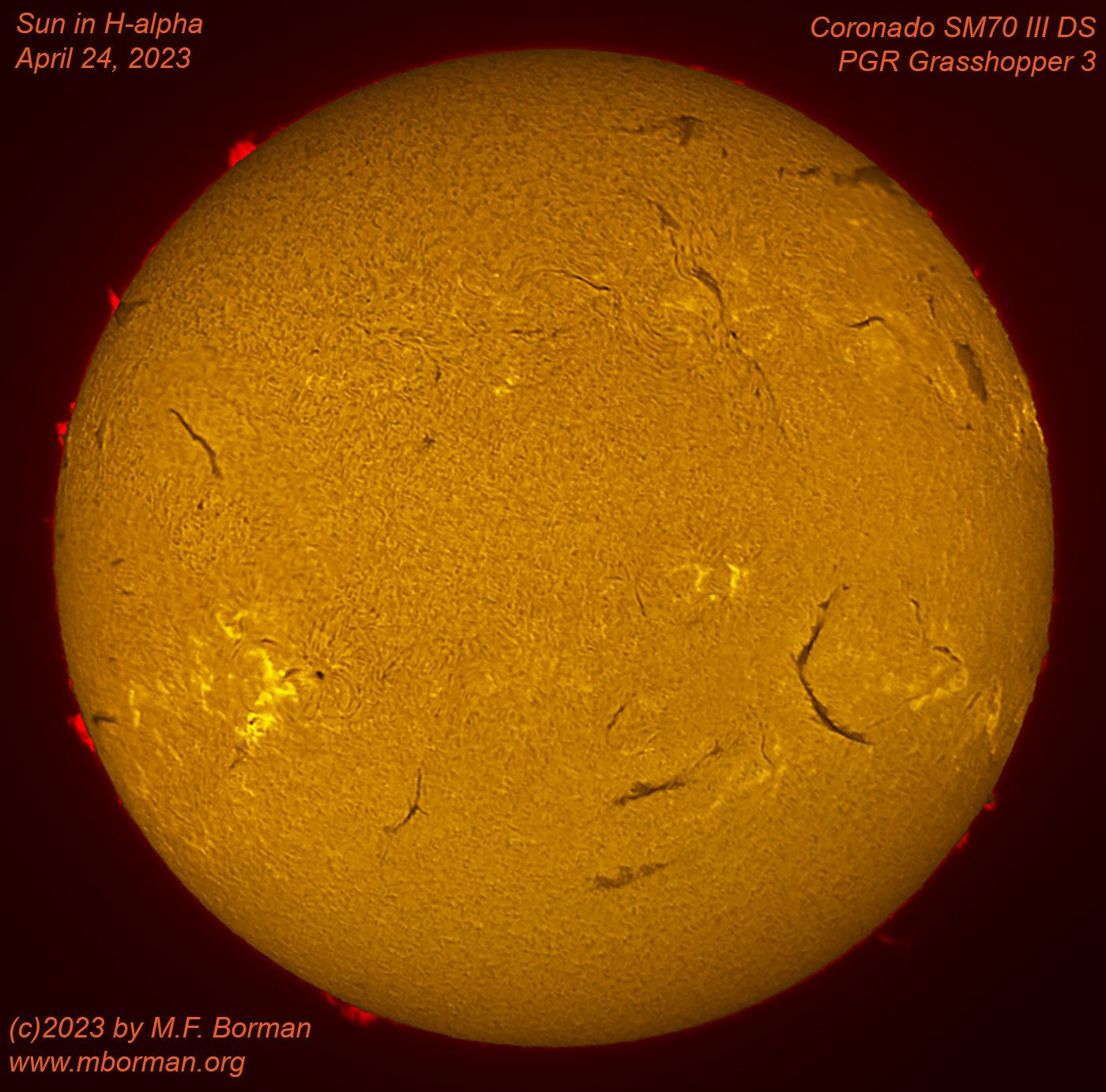 Solar disk in h-alpha 04/24/2023