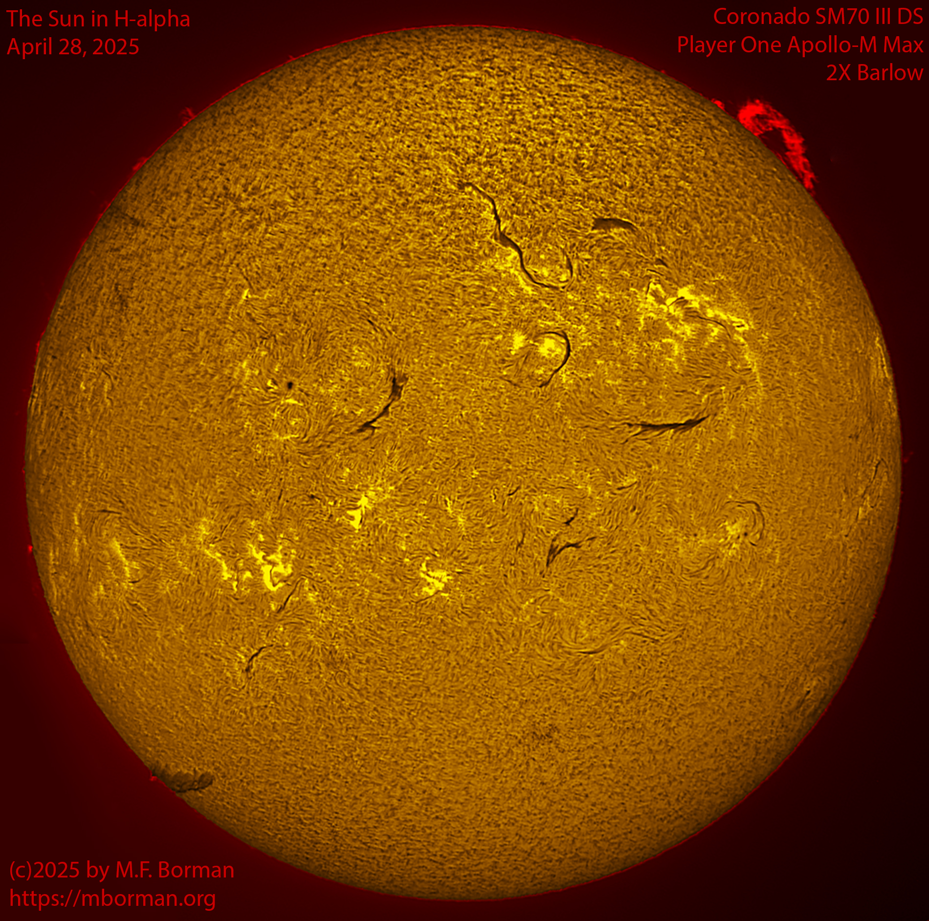 Solar image in h-alpha 04/28/25
