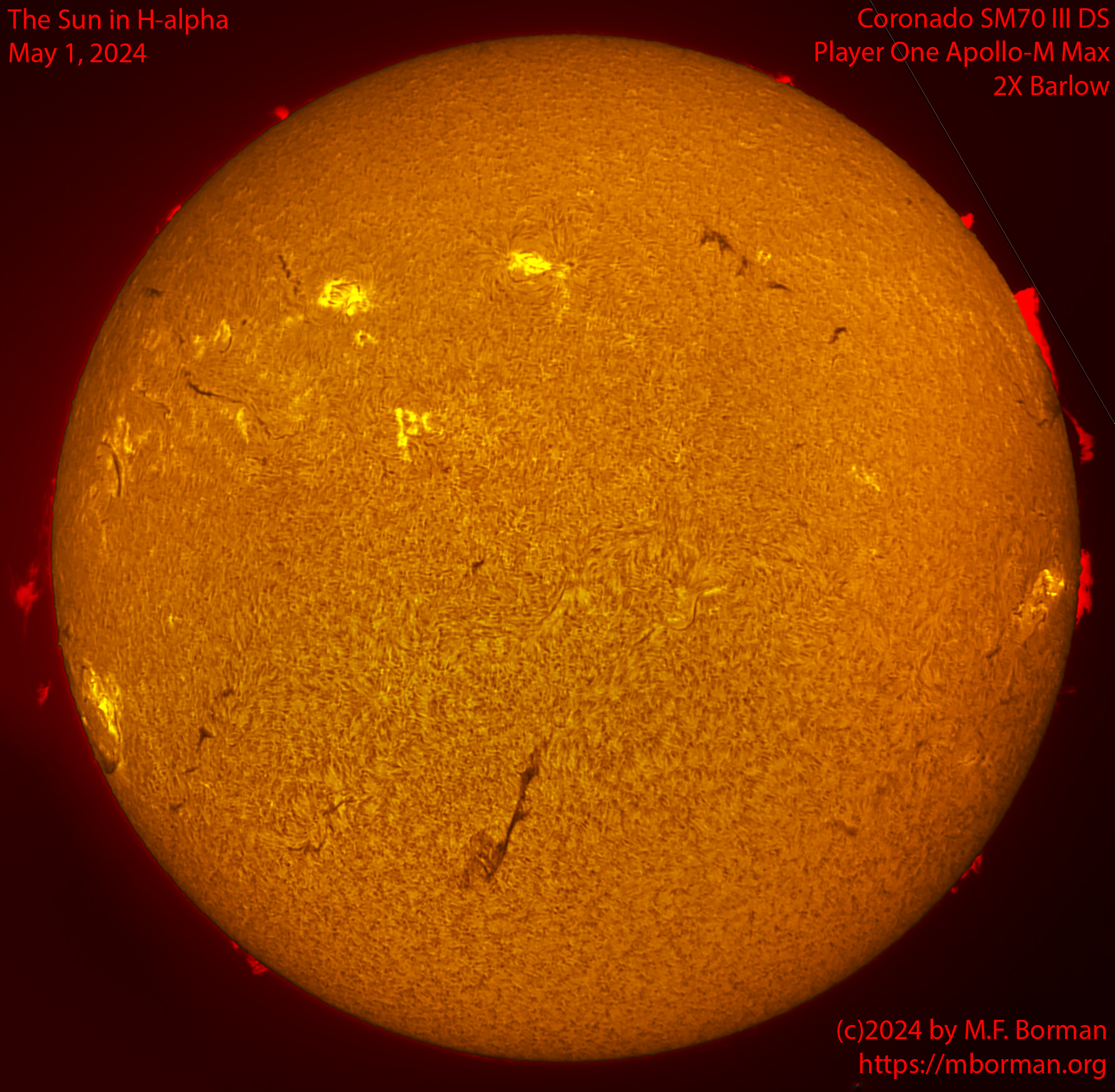 Solar image in h-alpha 05/01/24