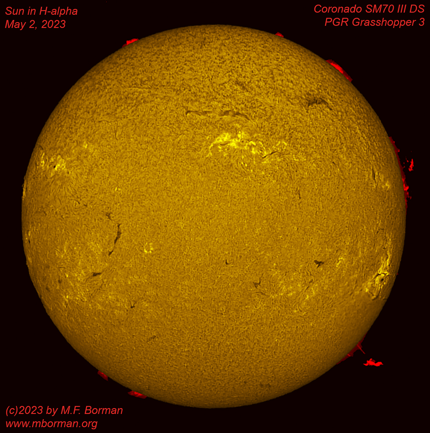 Solar disk in h-alpha 05/02/2023
