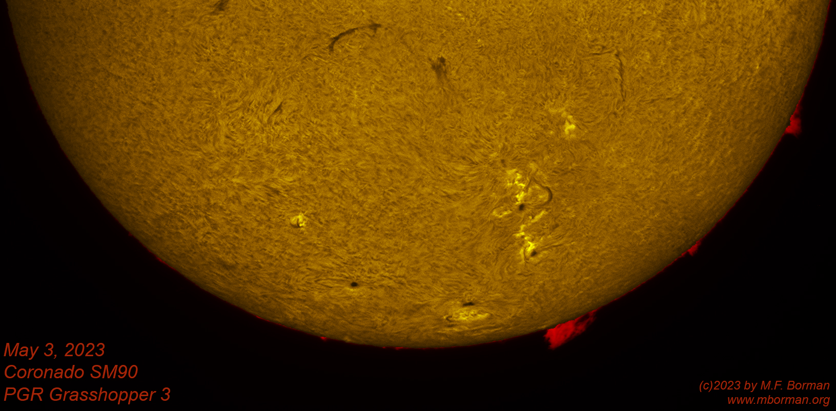 Solar disk in h-alpha 05/03/2023