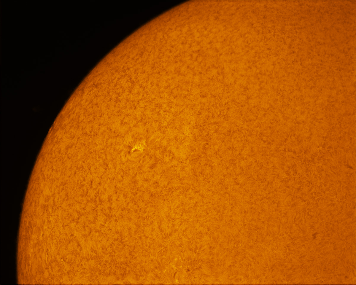 Sunspot 2053 in h-alpha 05/04/2014