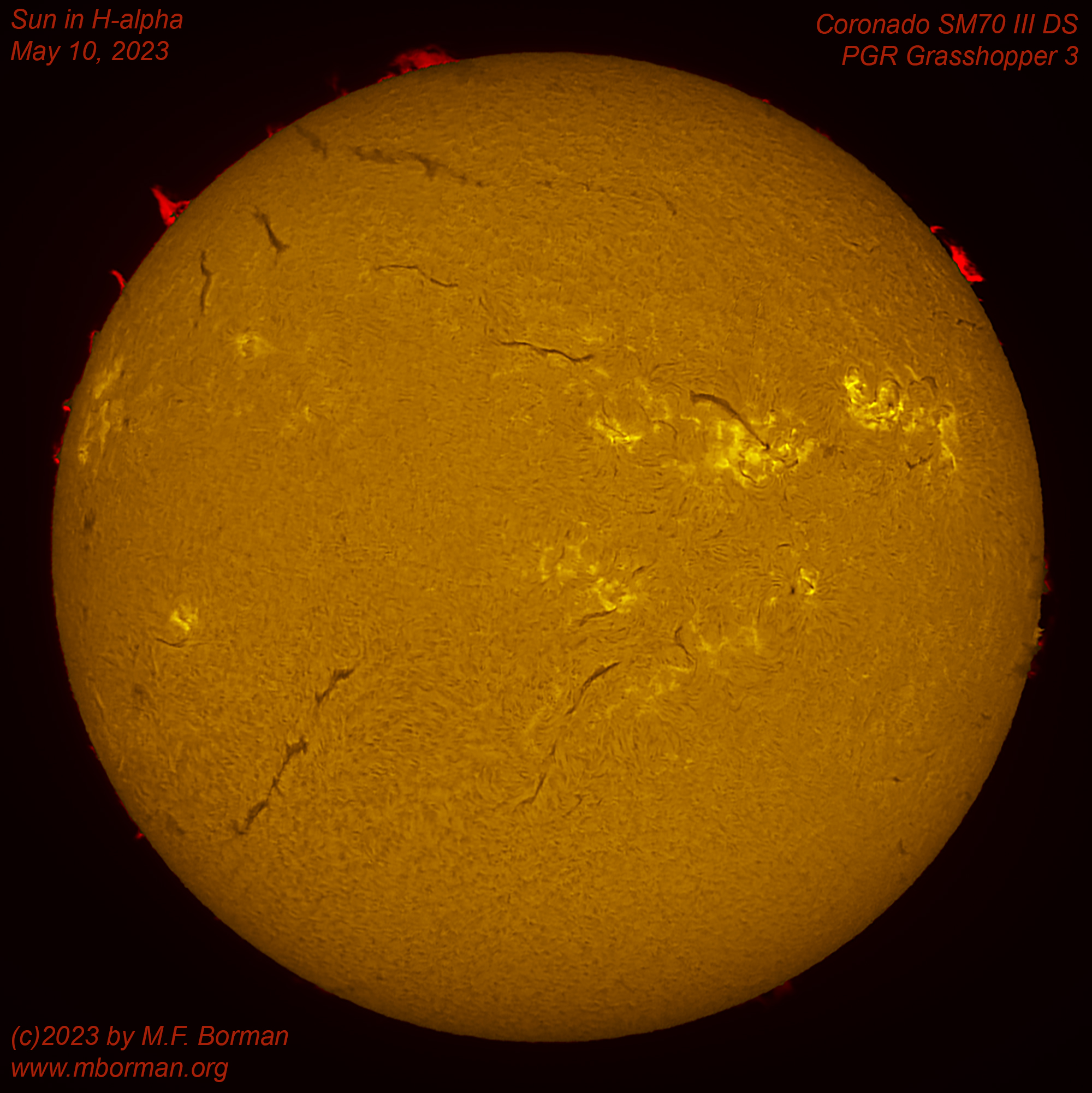 Solar disk in h-alpha 05/10/2023