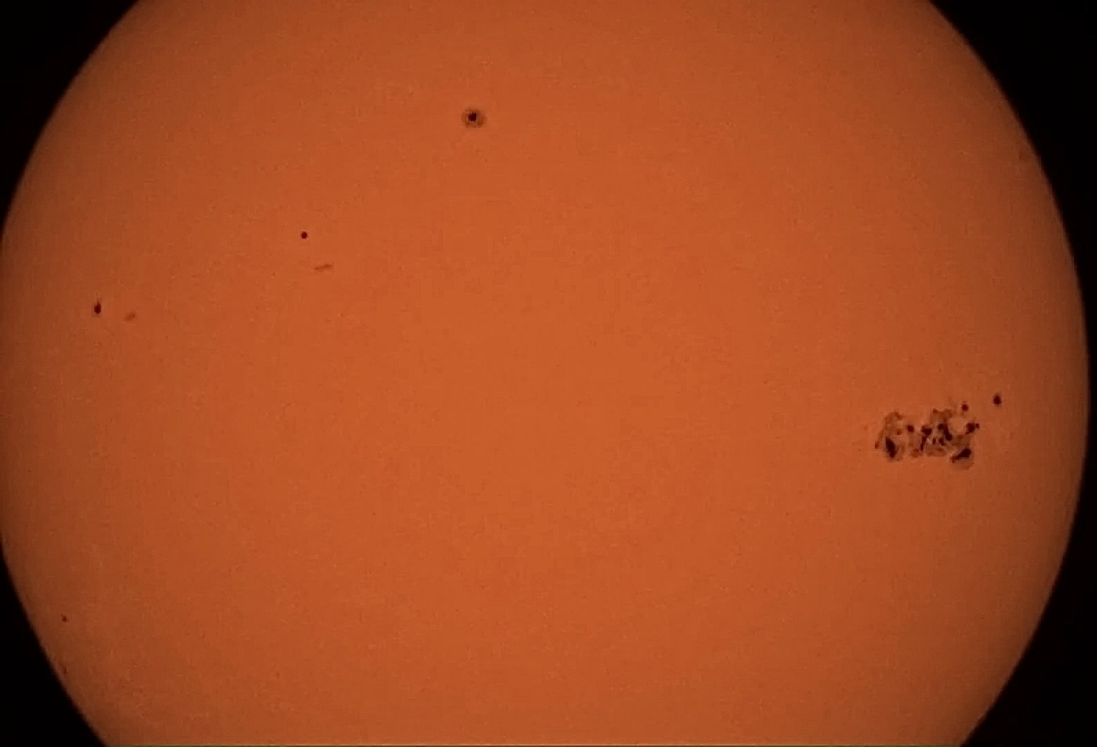 Sunspot Group AR3664 in white light 05/10/24