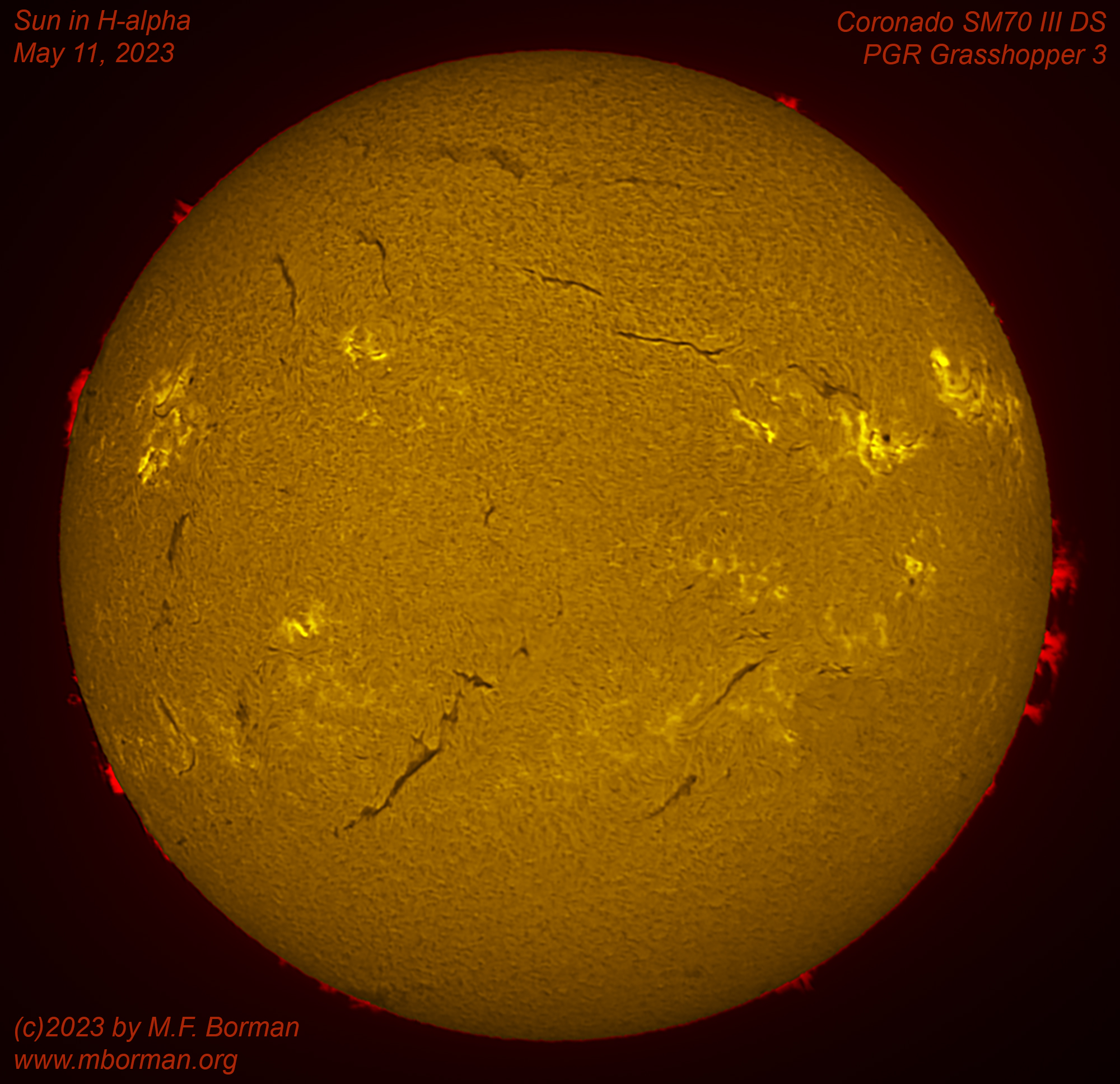 Solar disk in h-alpha 05/11/2023