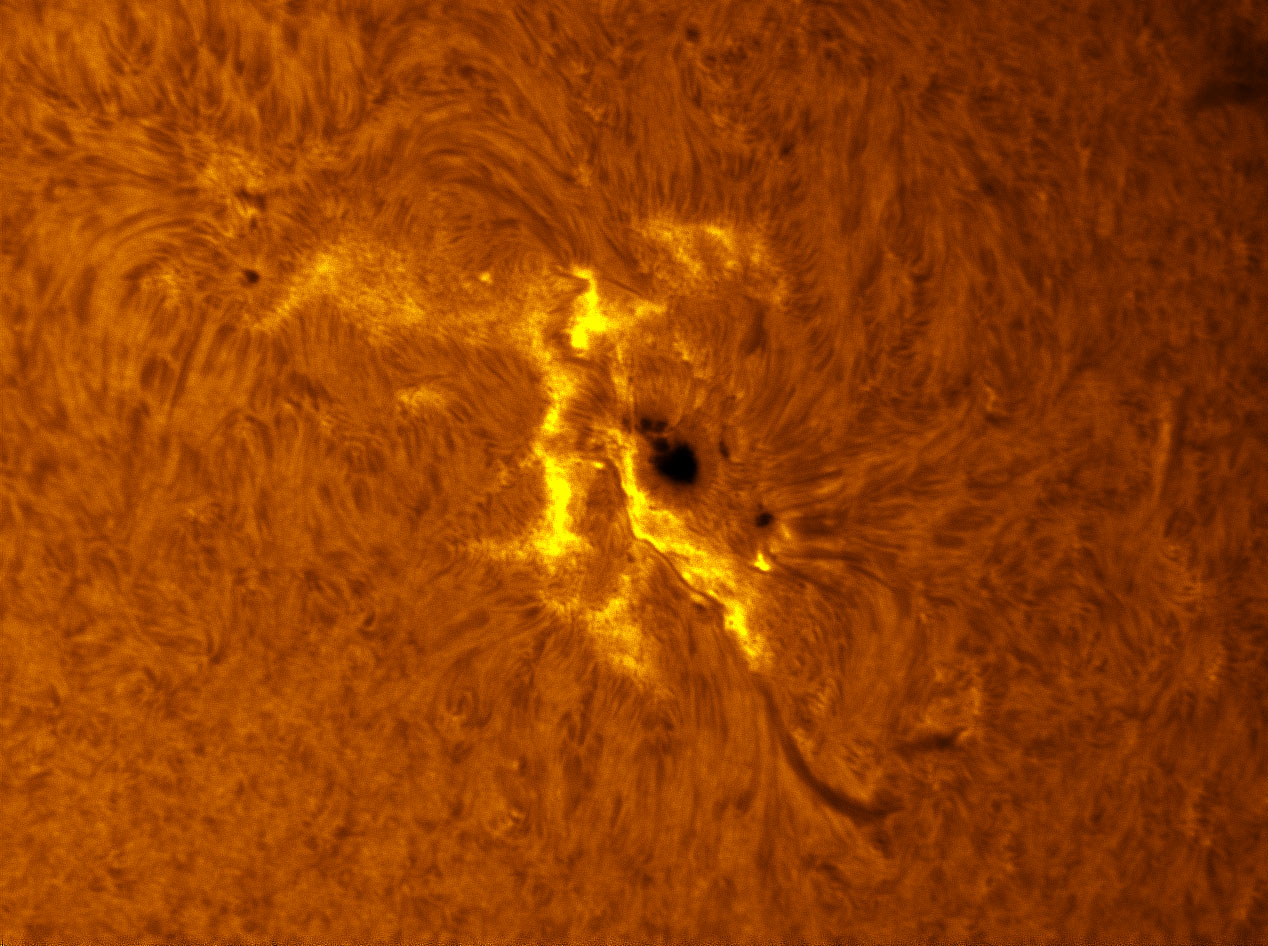 Sunspot 1476 in h-alpha 05/13/2012