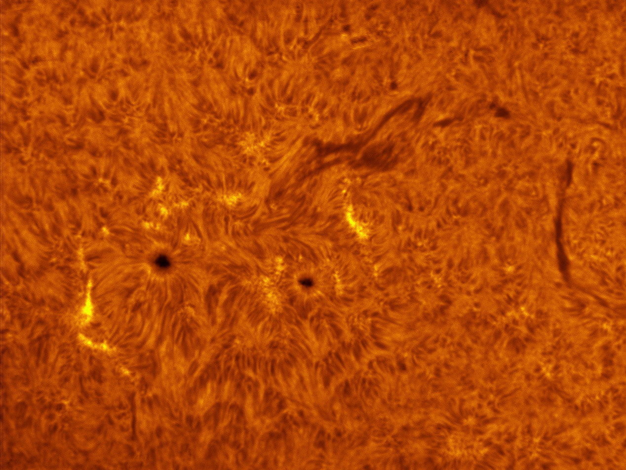 Sunspots 1477 & 1478 in h-alpha 05/13/2012