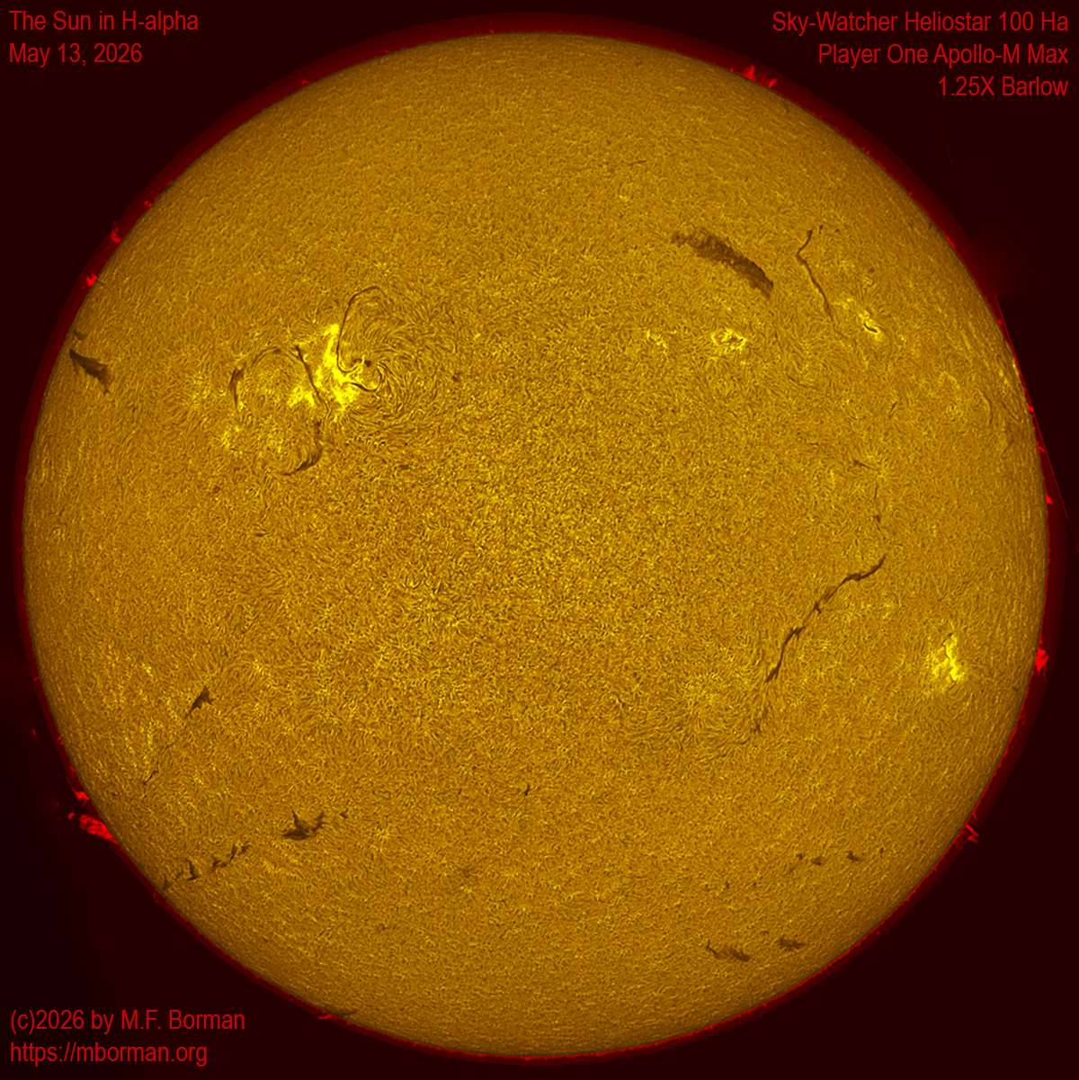 Solar image in h-alpha 05/13/26
