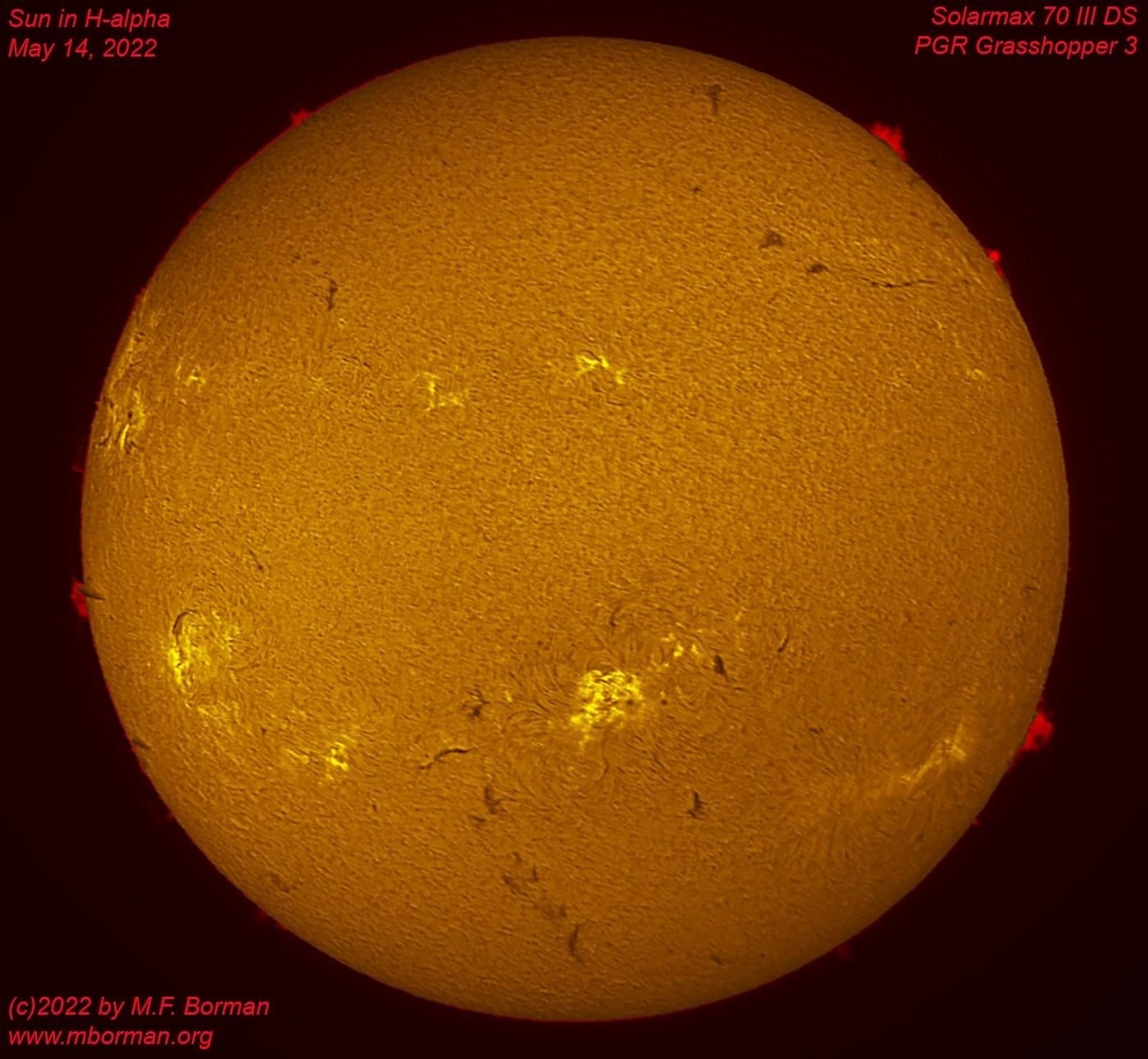 Solar disk in h-alpha 05/14/2022