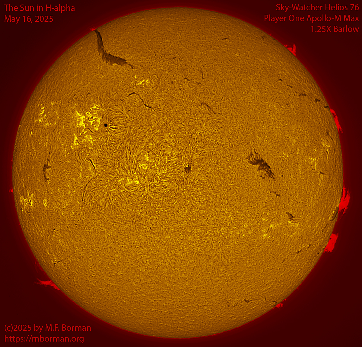 Solar image in h-alpha 05/16/25